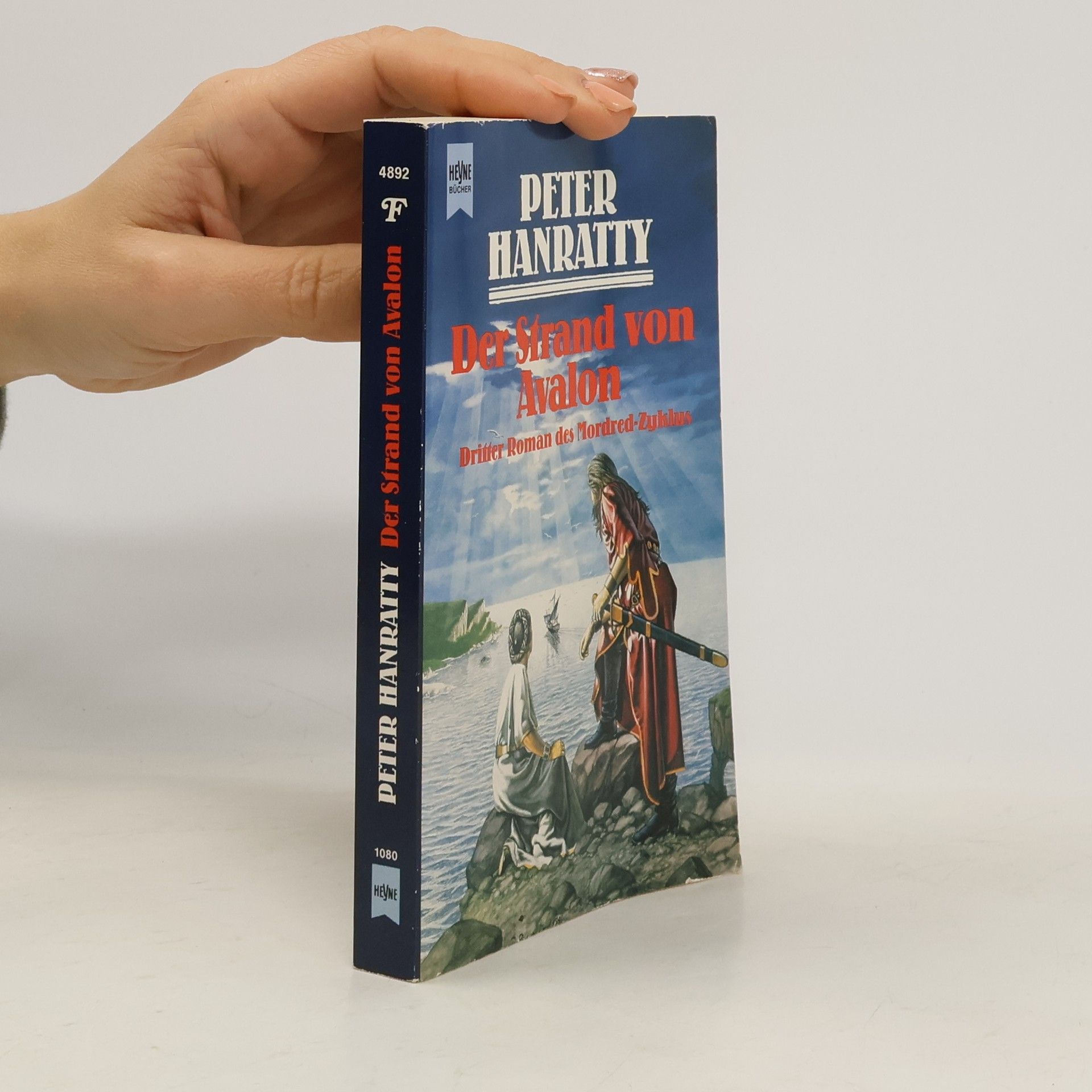 Peter Hanratty Der Strand von Avalon. Roman