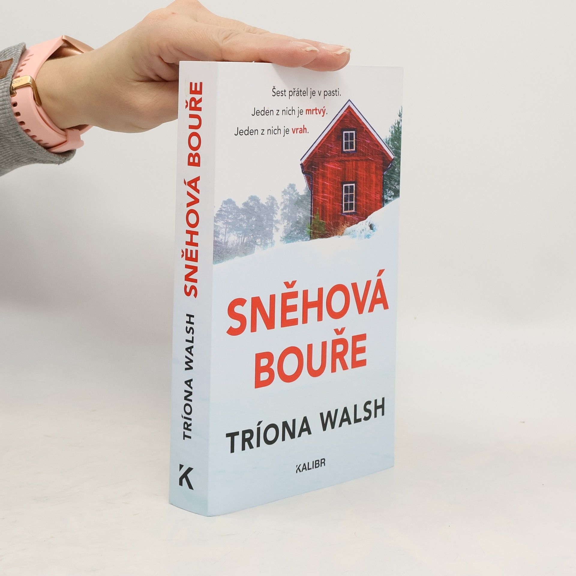 Tríona Walsh Sněhová bouře