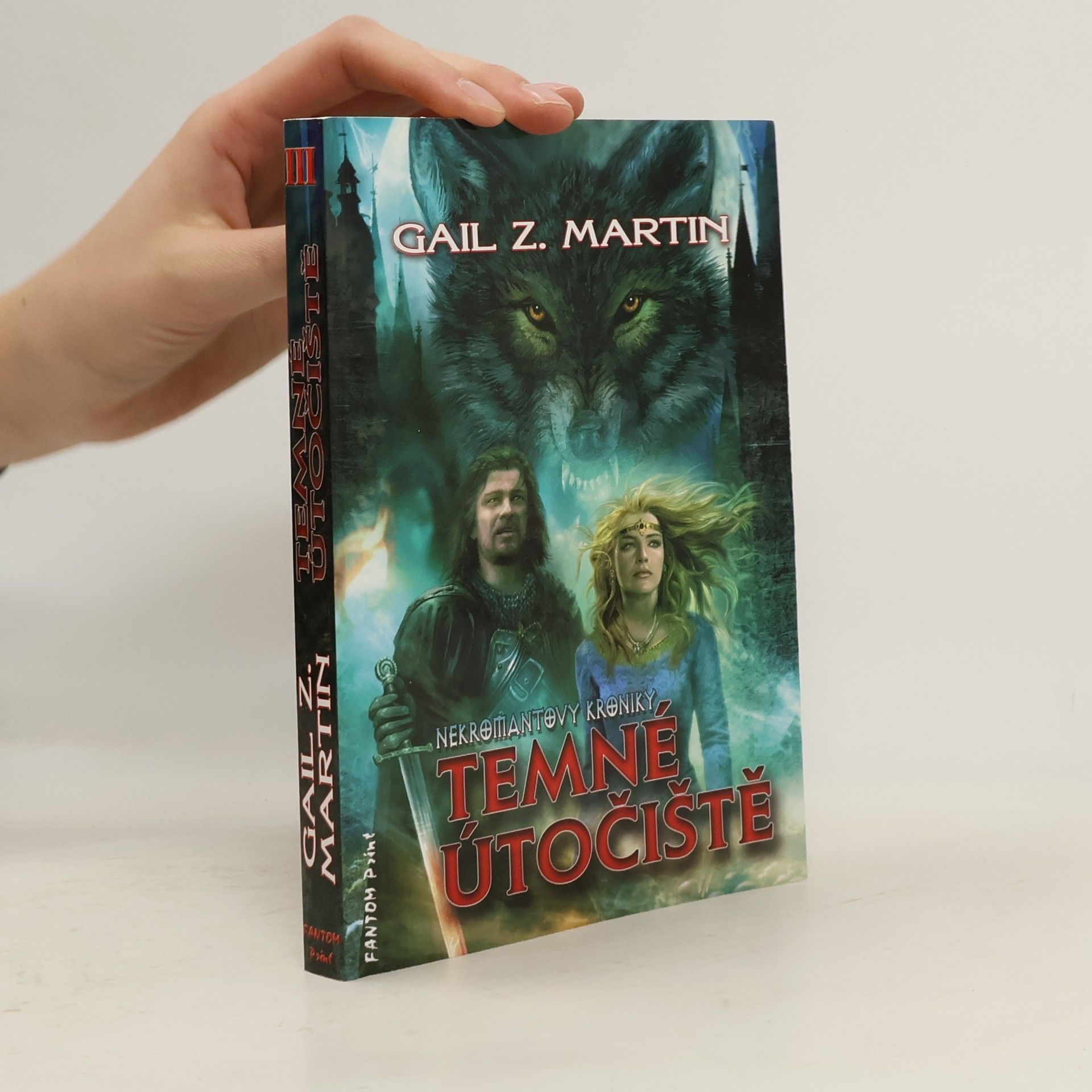 Gail Z. Martin Temné útočiště