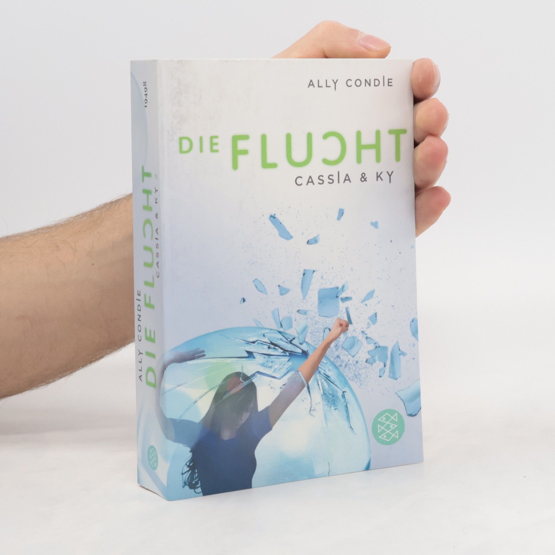 Allyson Braithwaite Condie Die Flucht