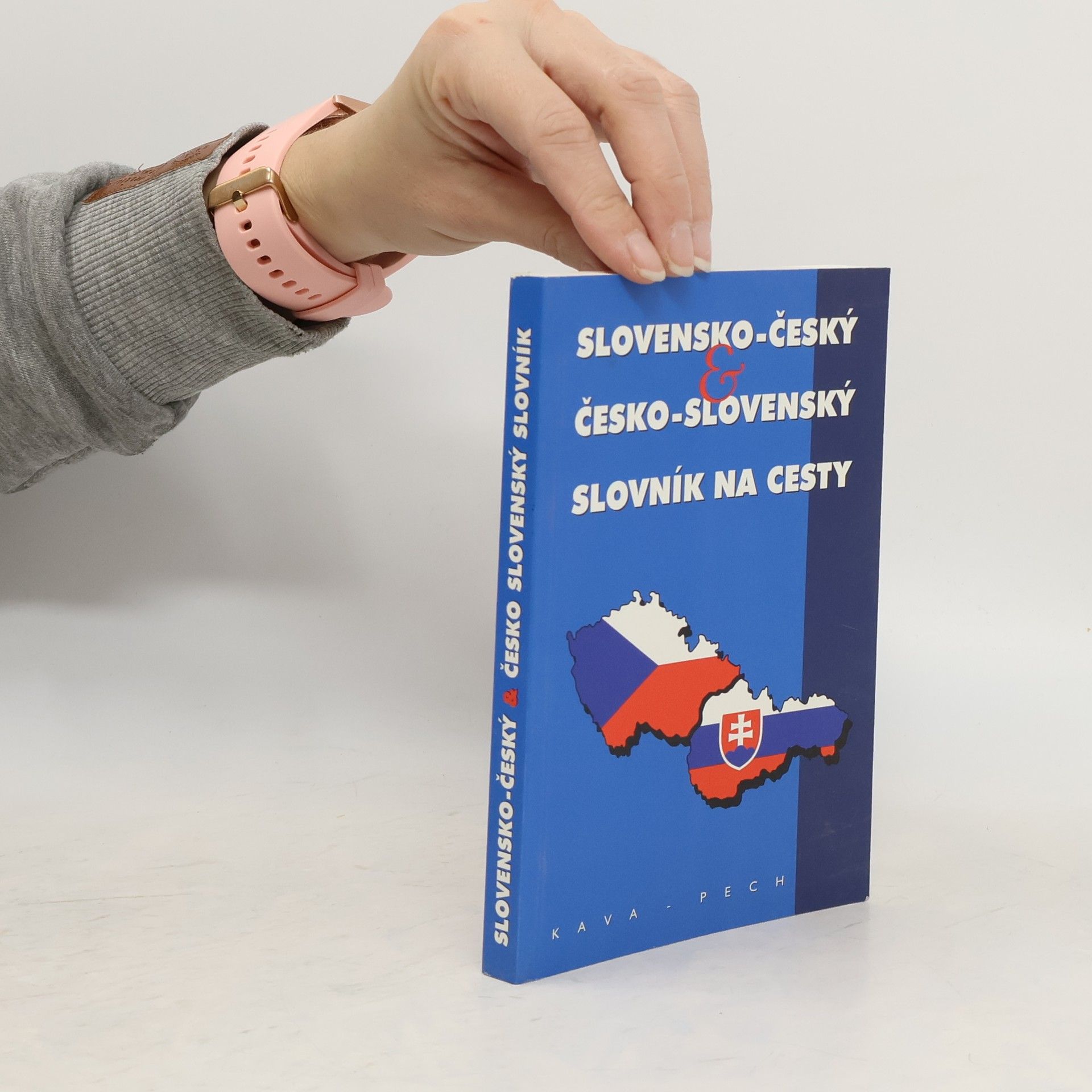 Magdaléna Feifičová Slovensko-český a česko-slovenský slovník na cesty