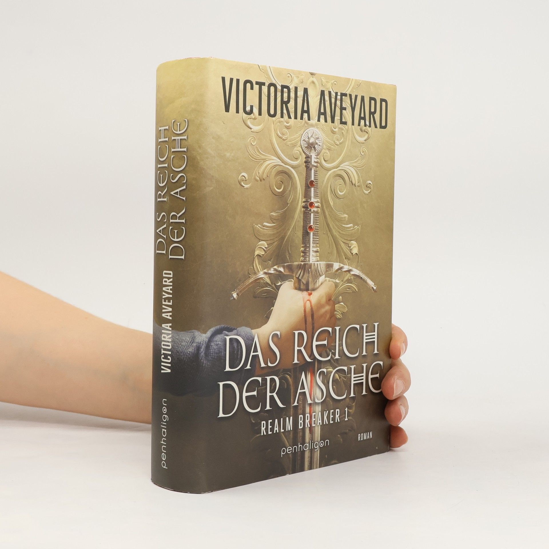 Victoria Aveyard Das Reich der Asche - Realm Breaker 1