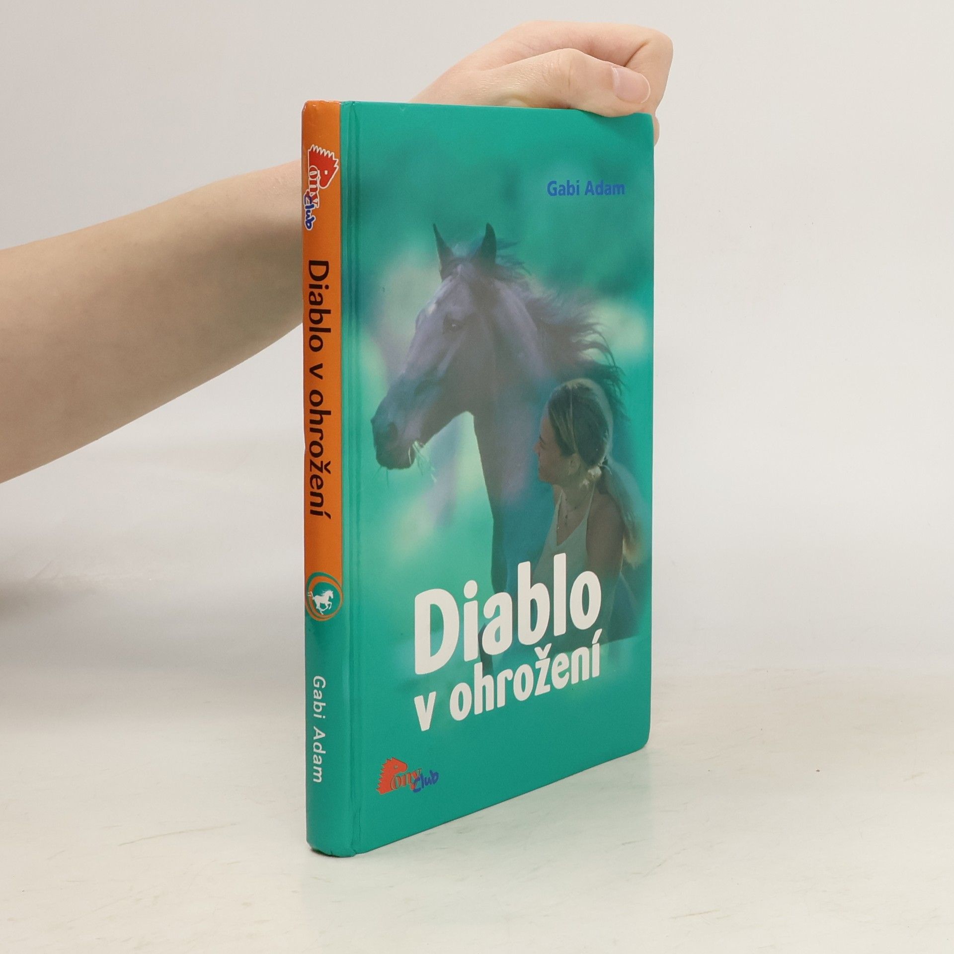 Gabi Adam Diablo v ohrožení. Diablo 2