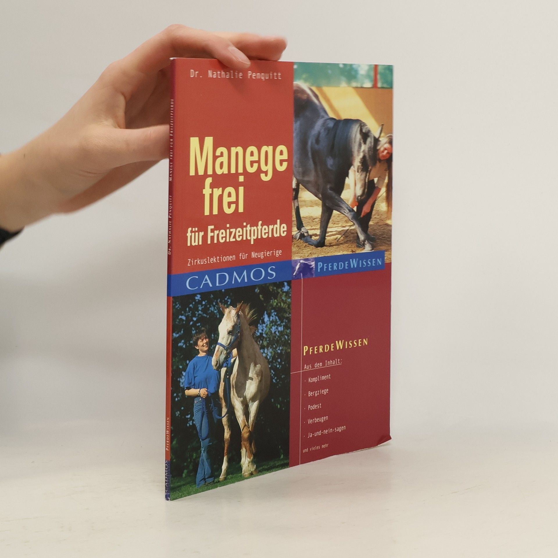 Manege frei für Freizeitpferde