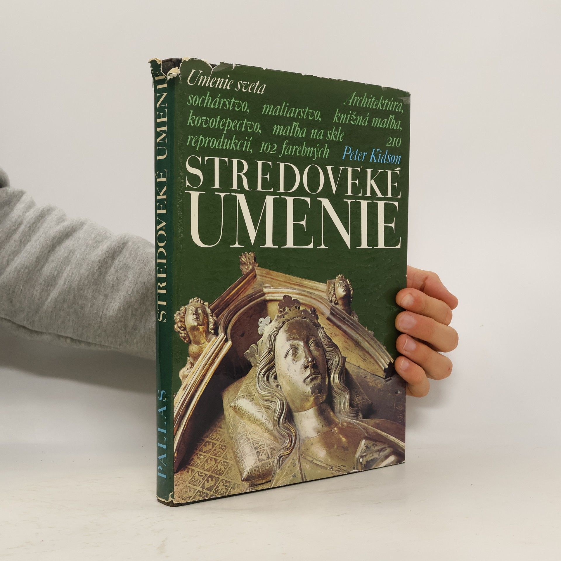 Peter Kidson Stredoveké umenie