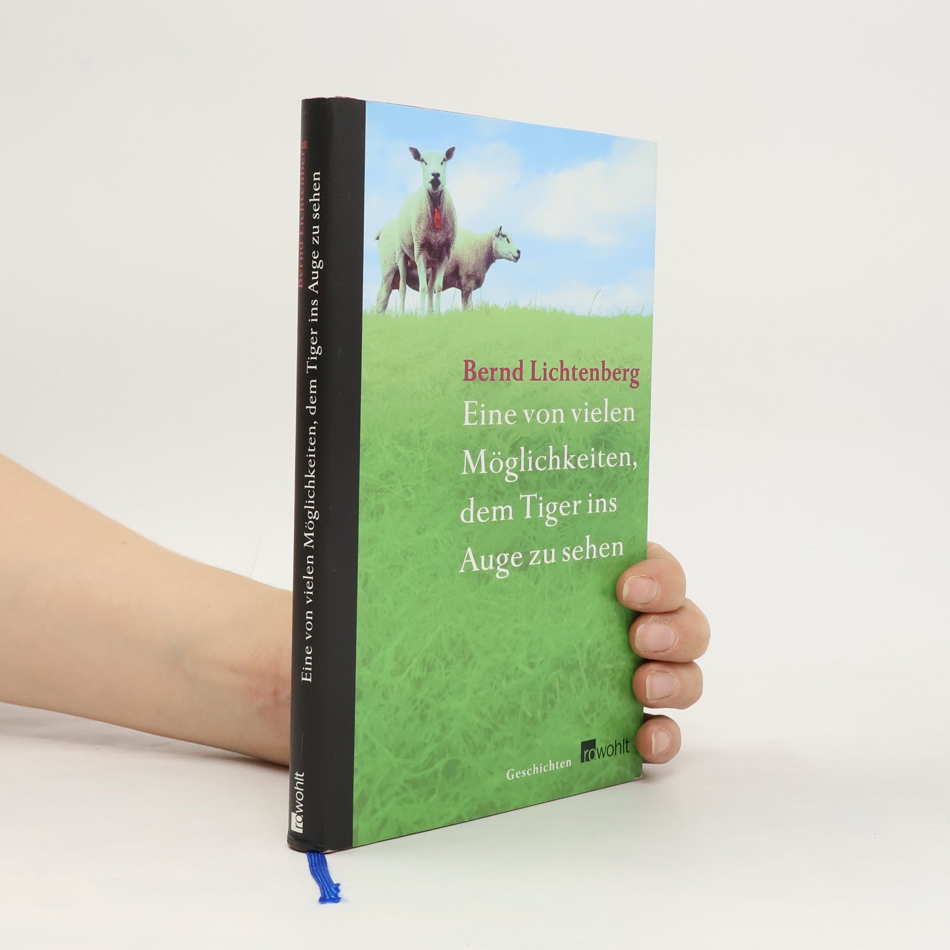 Bernd Lichtenberg Eine von vielen Möglichkeiten, dem Tiger ins Auge zu sehen. Geschichten