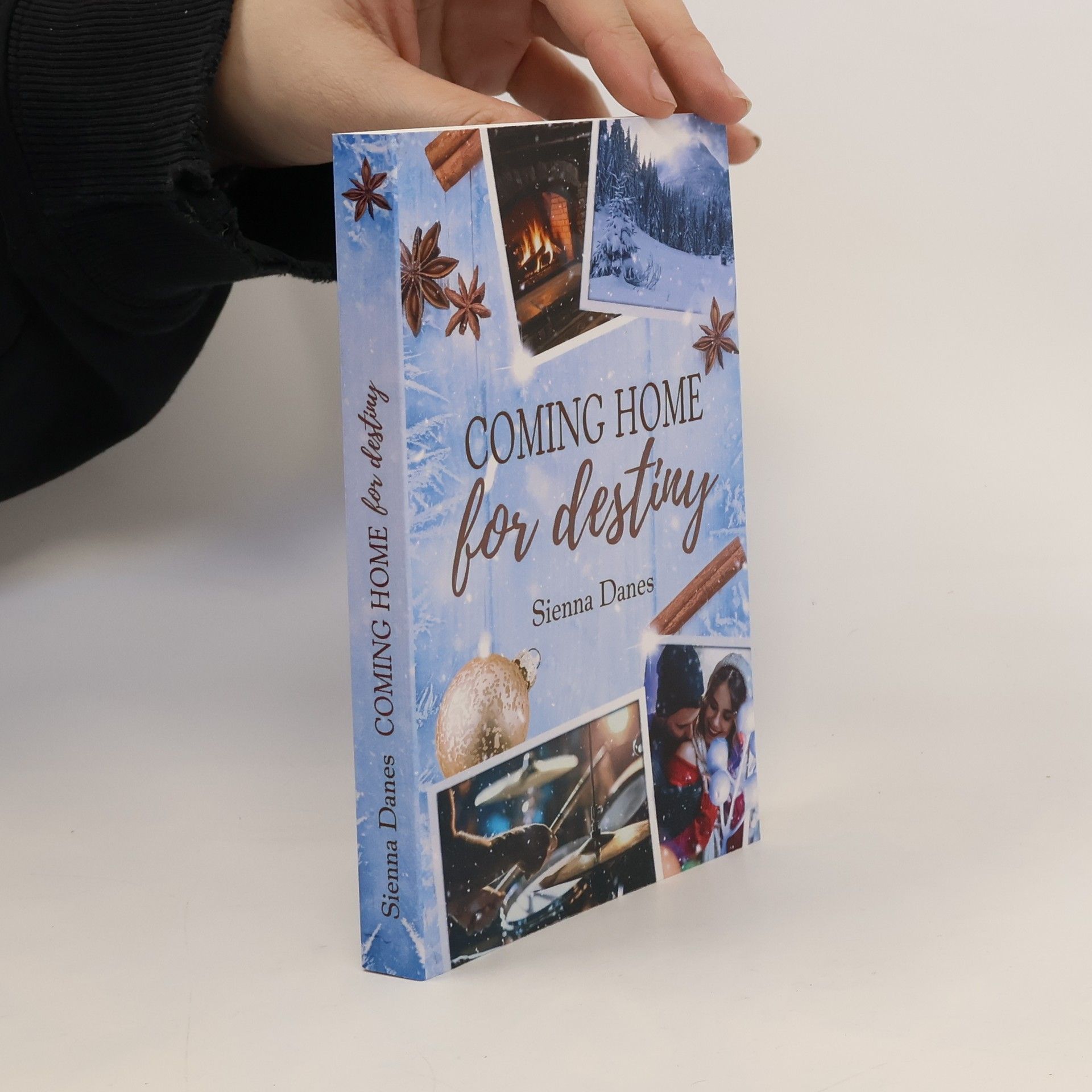 Sienna Danes Love in Alaska - 4: Coming Home for Destiny