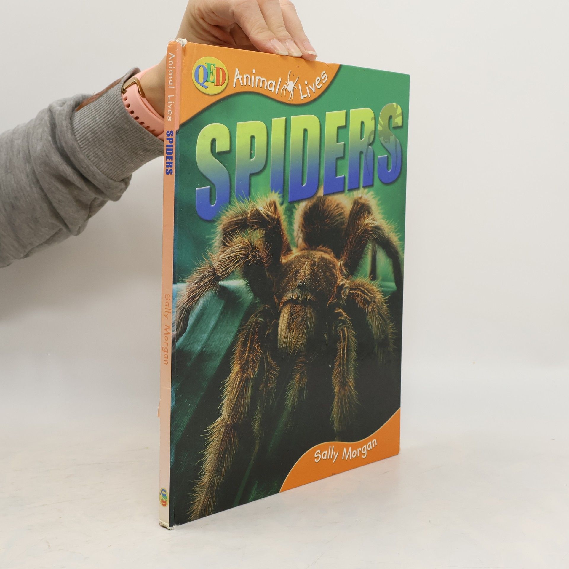 Sally Morgan Spiders