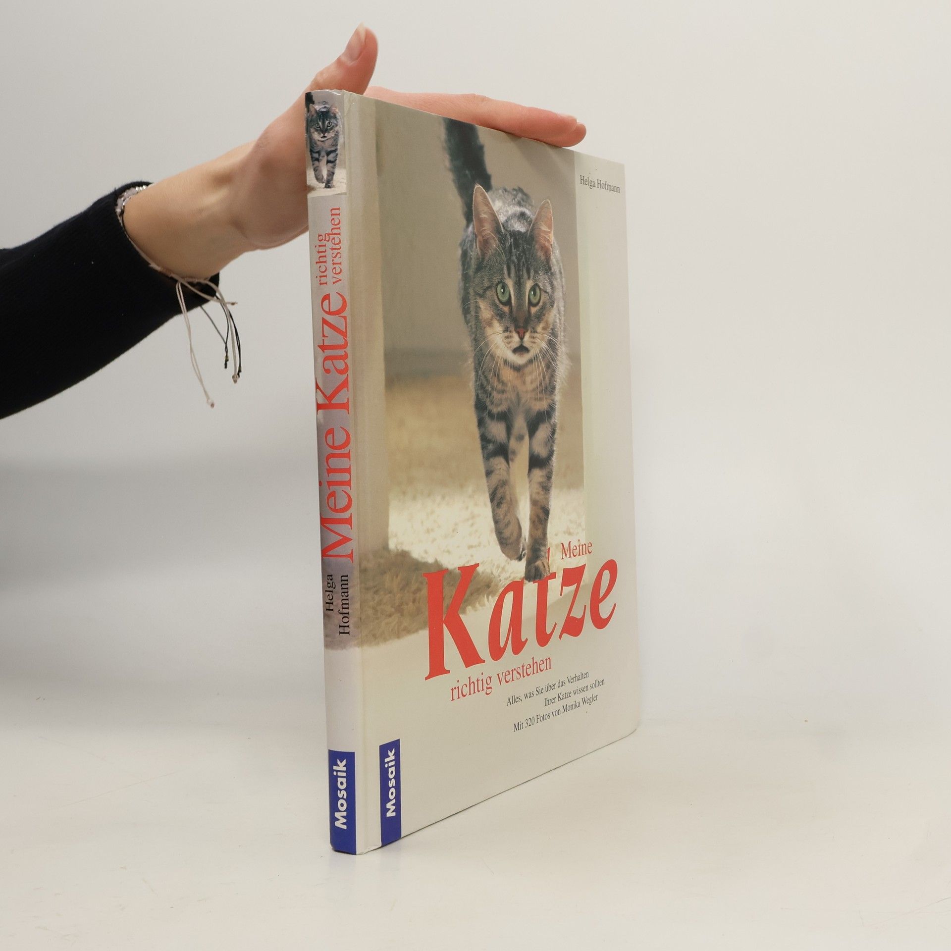 Helga Hofmann-Sieber Meine Katze richtig verstehen