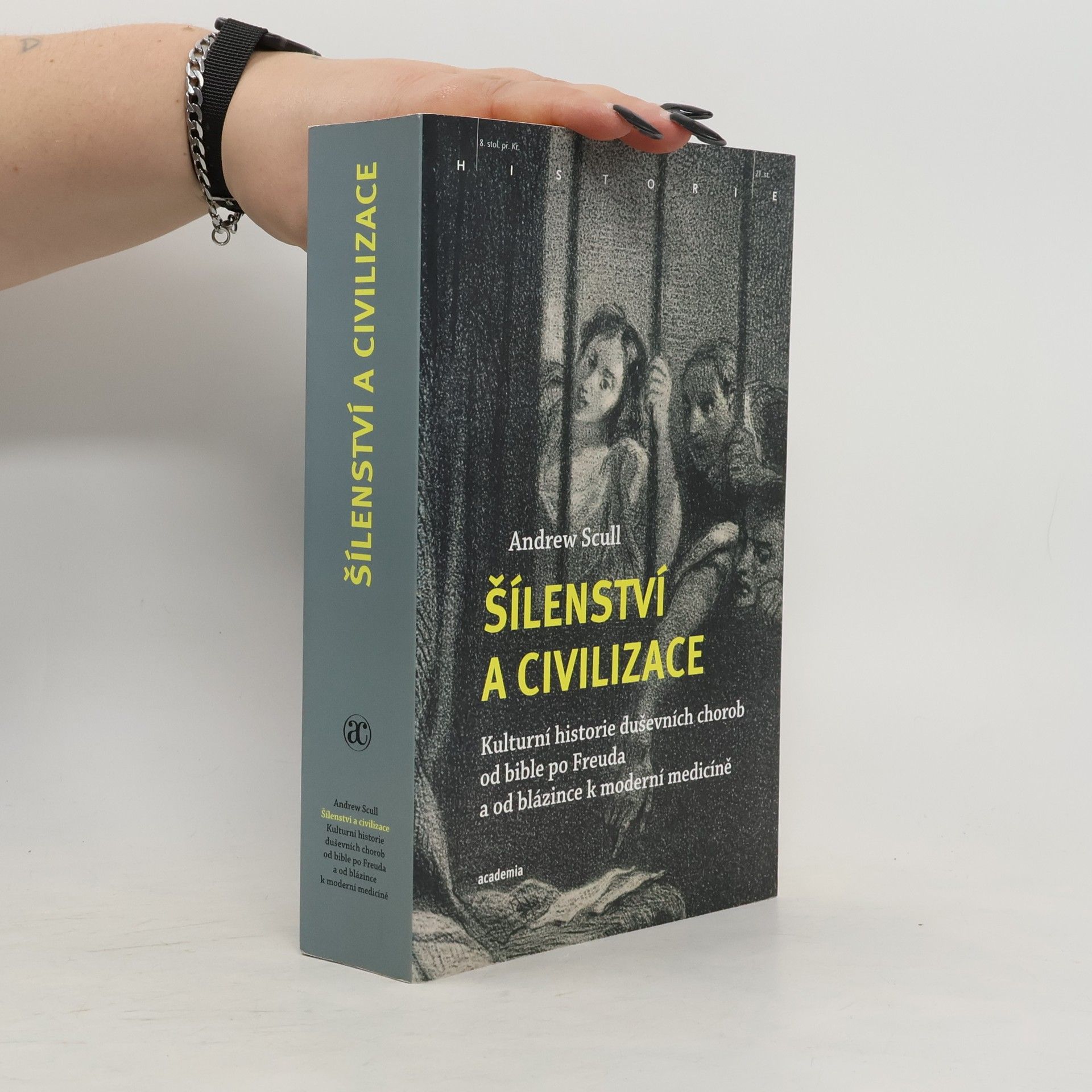 Andrew T. Scull Šílenství a civilizace