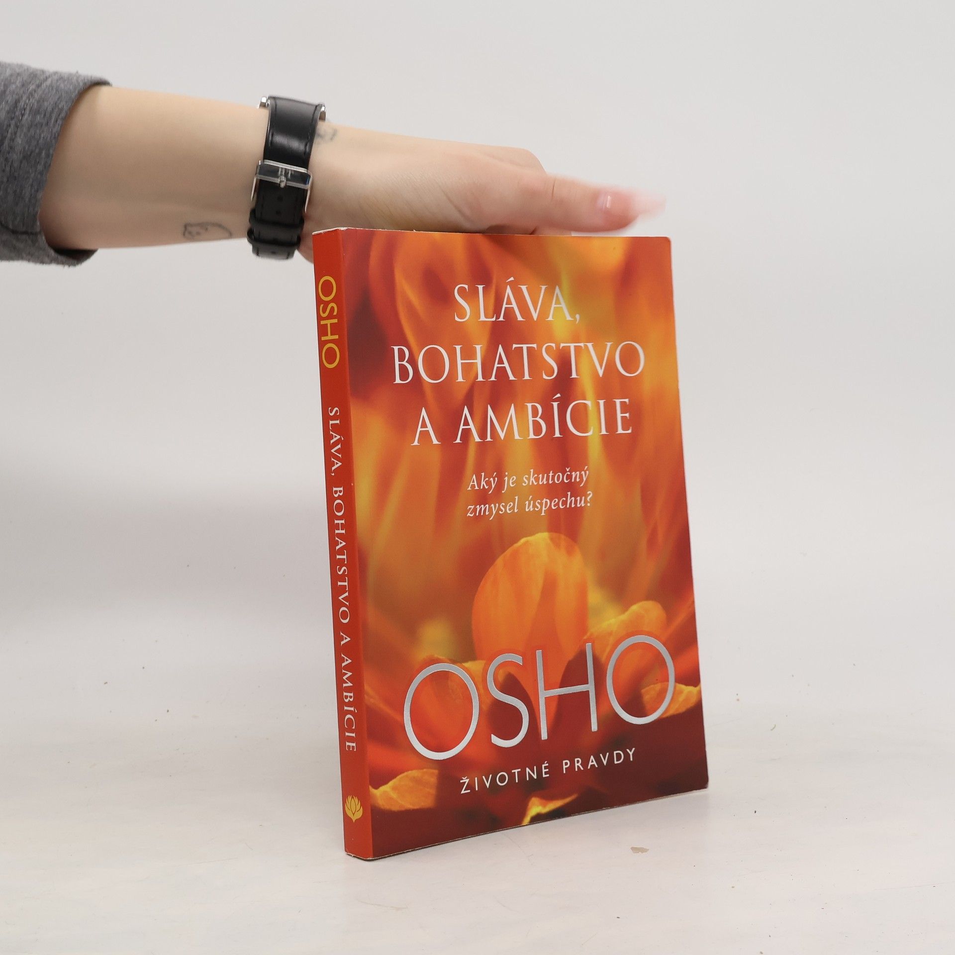 Sláva, bohatstvo a ambície