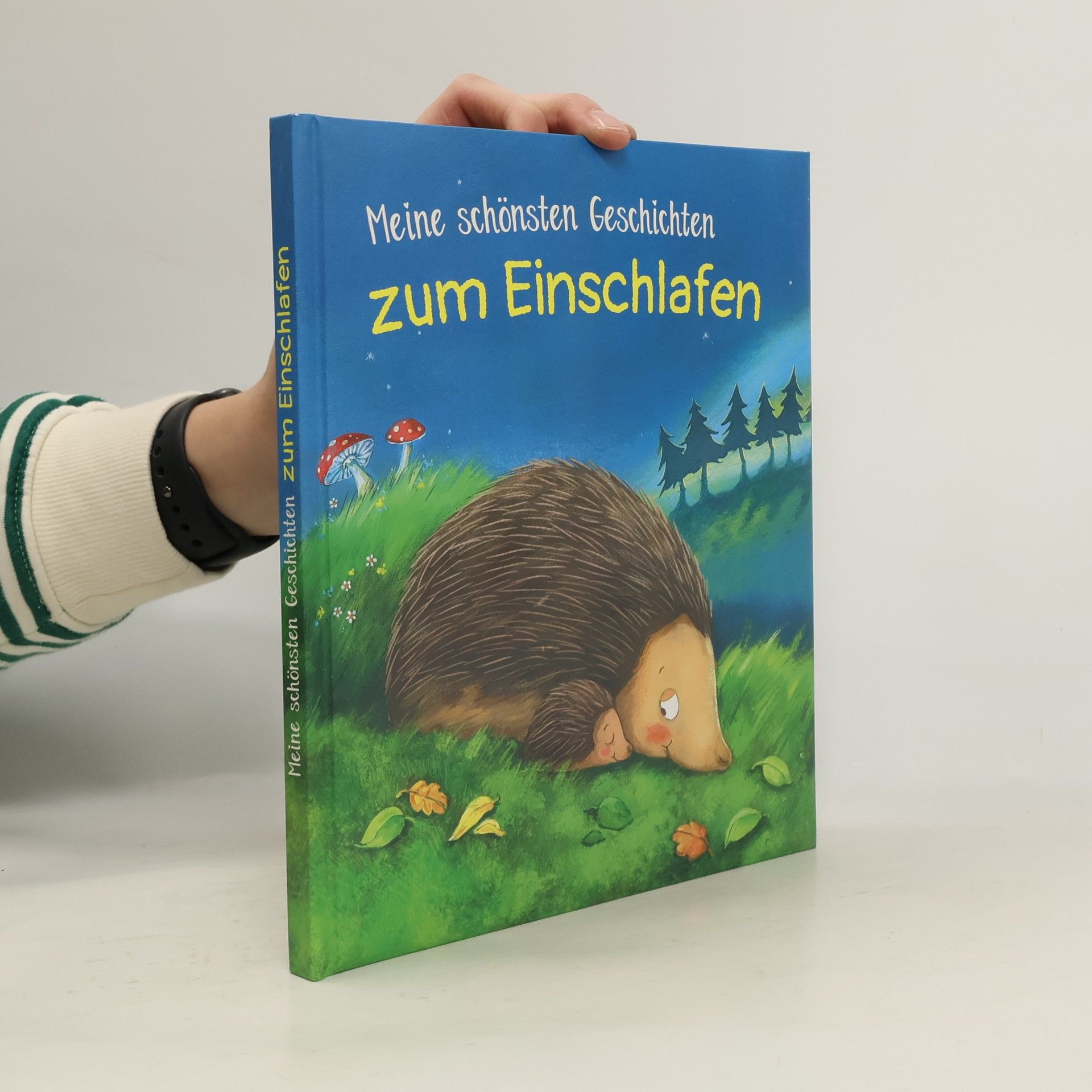 Autores varios Meine schönsten Geschichten zum Einschlafen