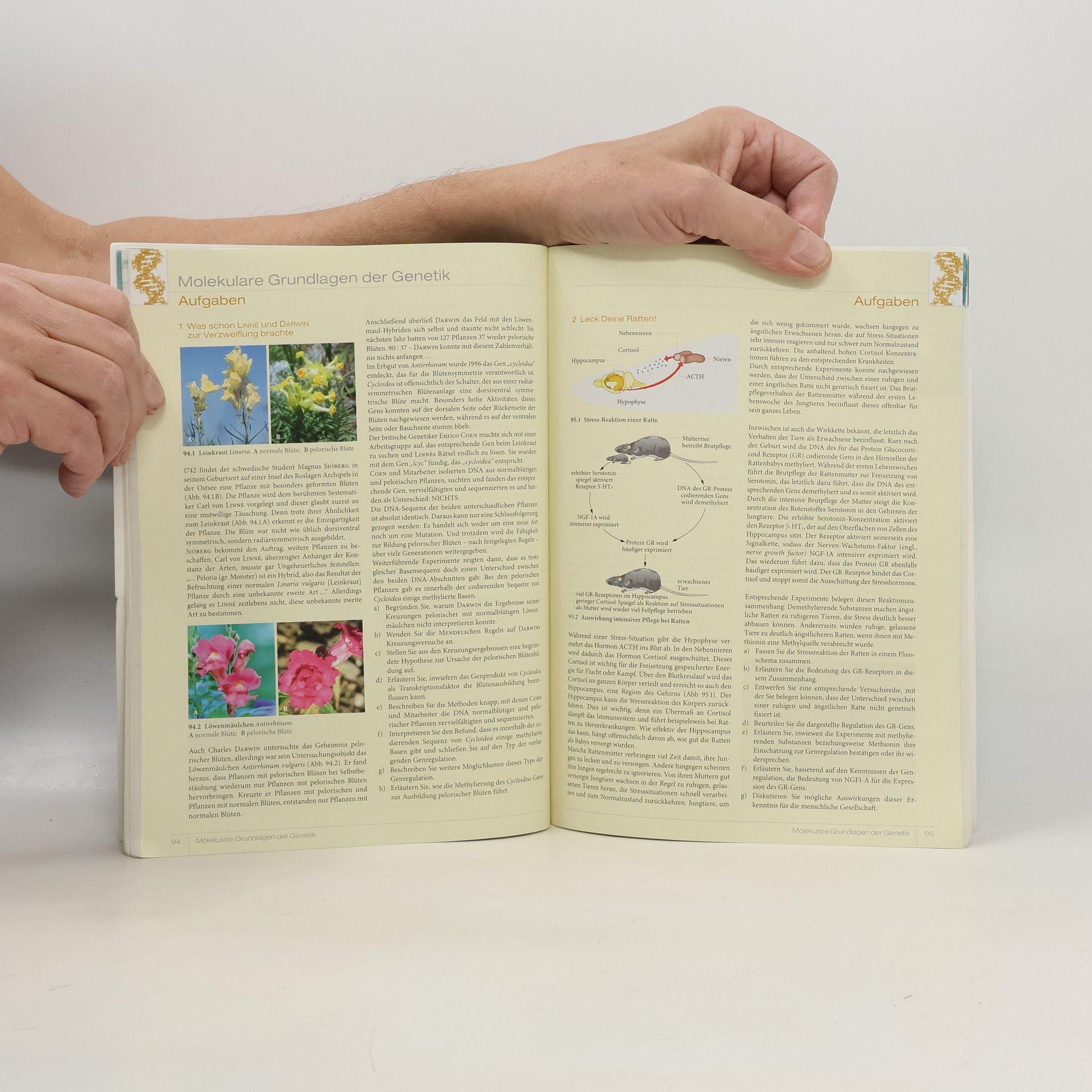 Collectif d'auteurs Genetik