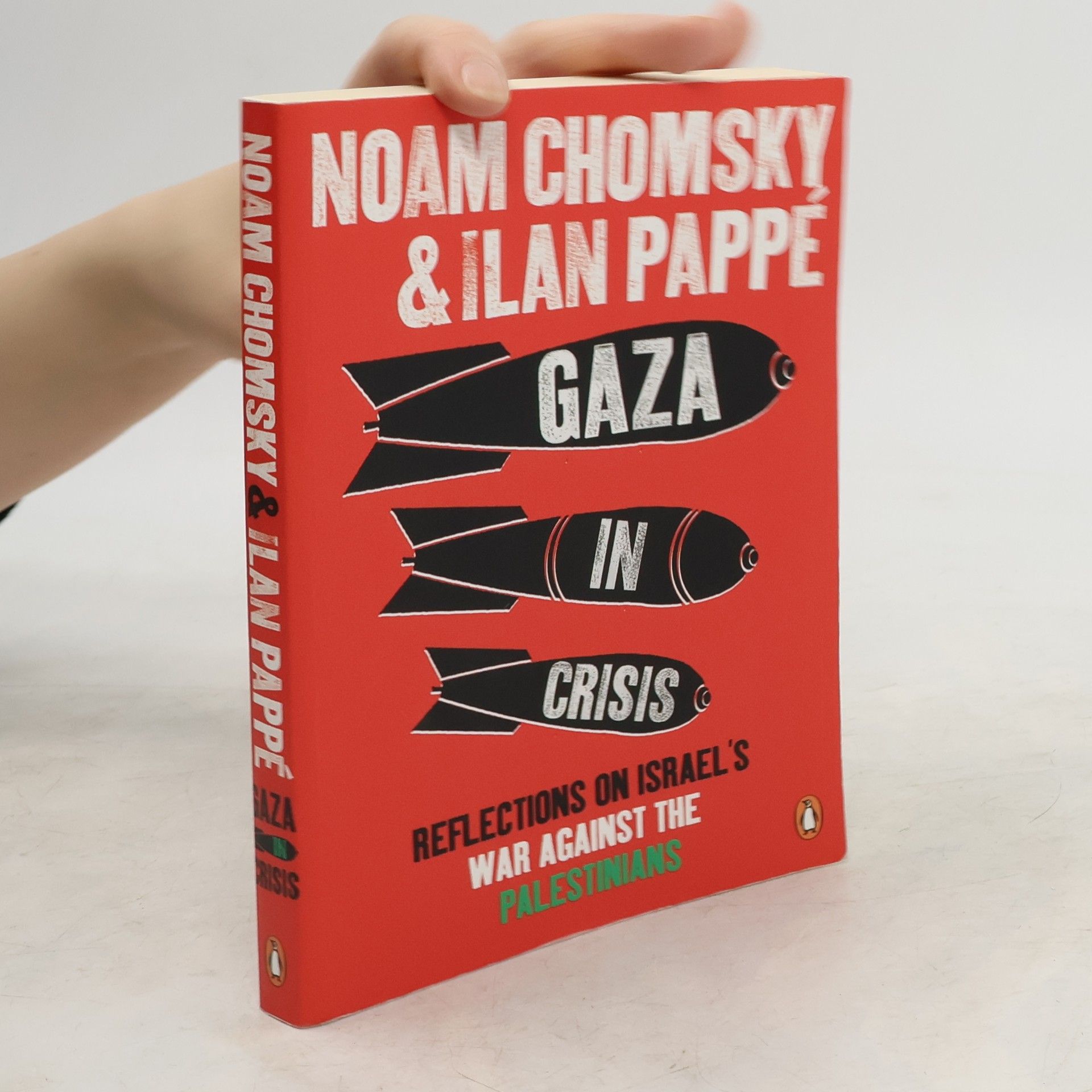 Noam Chomsky Gaza in Crisis