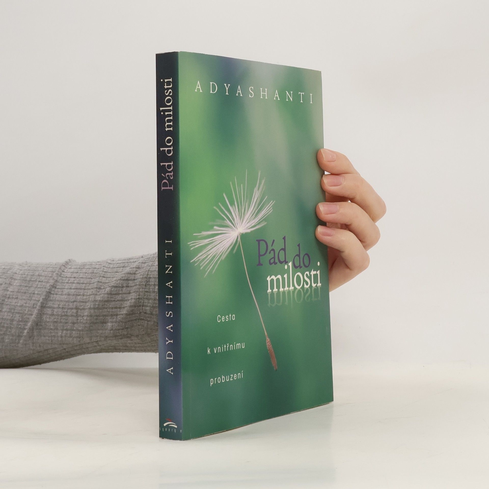 Adyashanti Pád do milosti