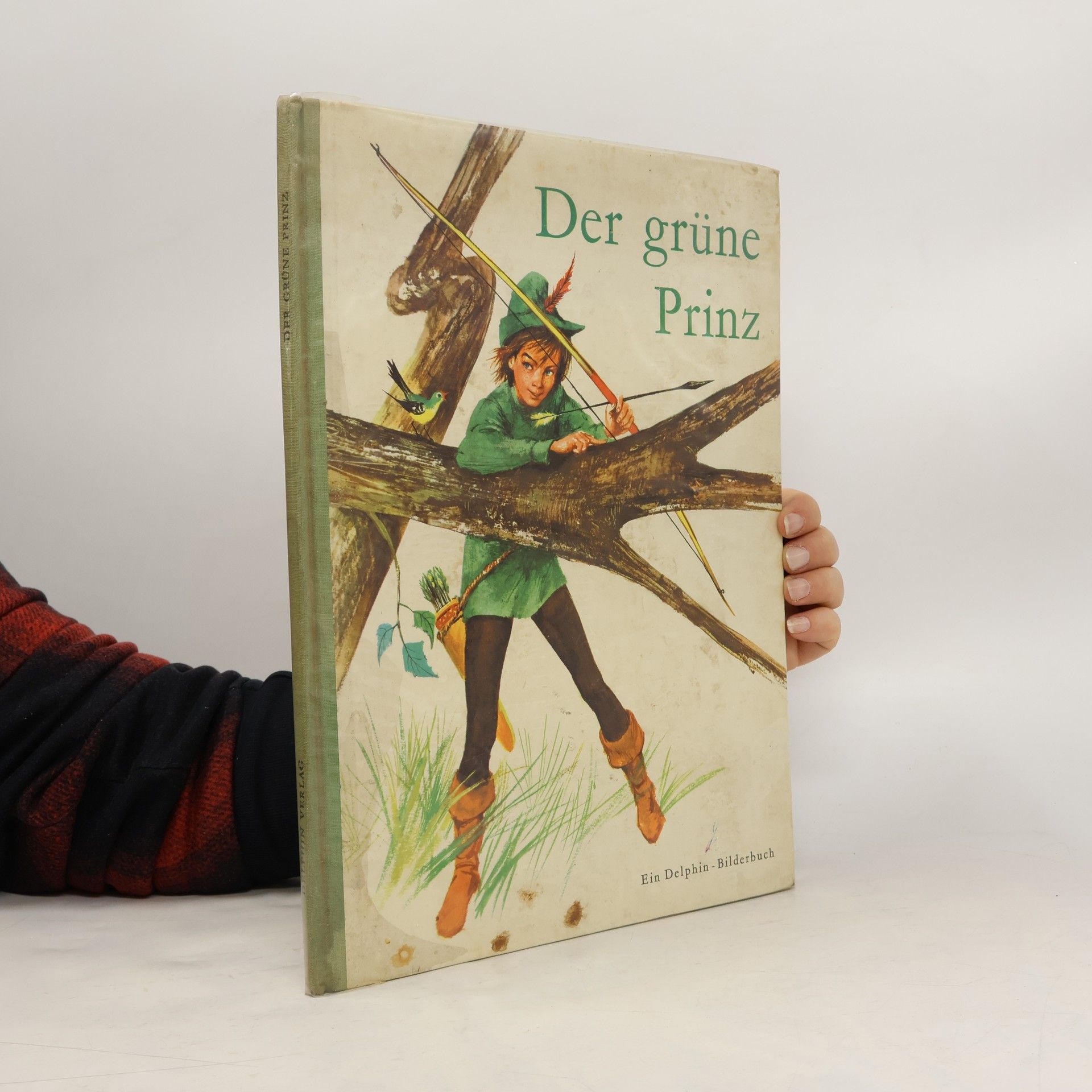 Autorenkollektiv Der grüne Prinz