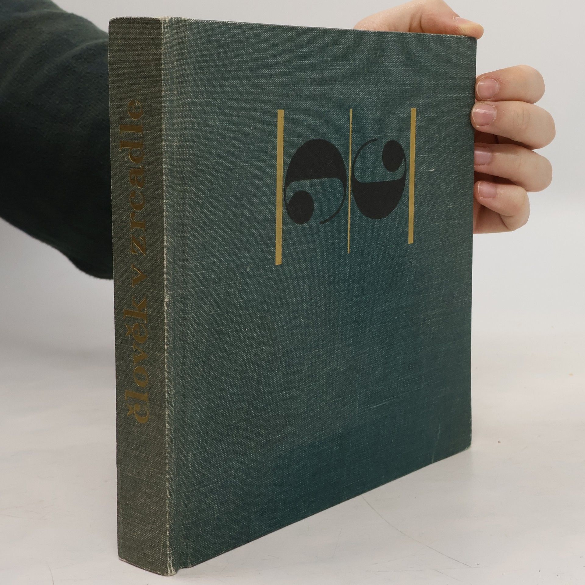 Miroslav Zůna Člověk v zrcadle