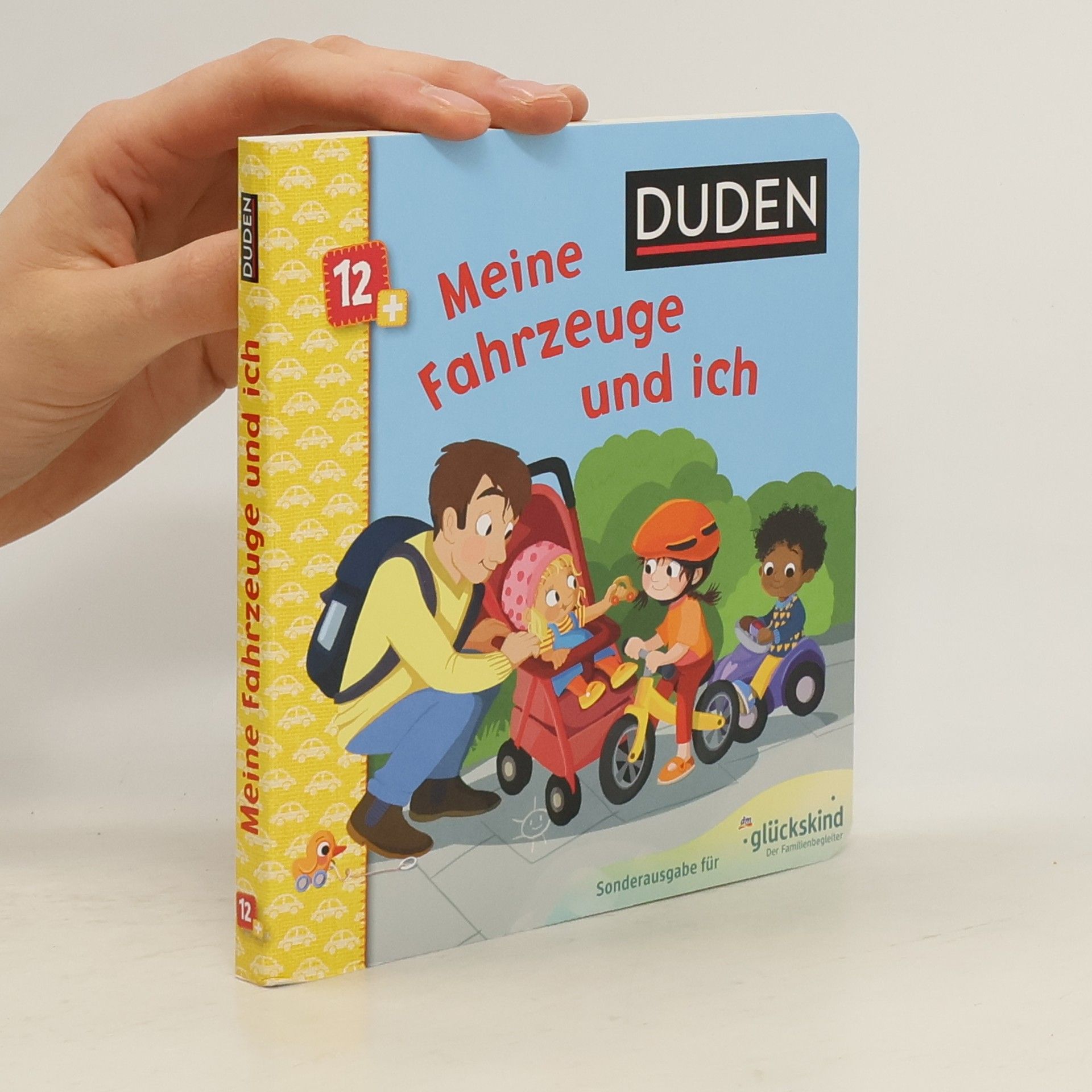 Kolektiv autorů Meine Fahrzeuge und ich