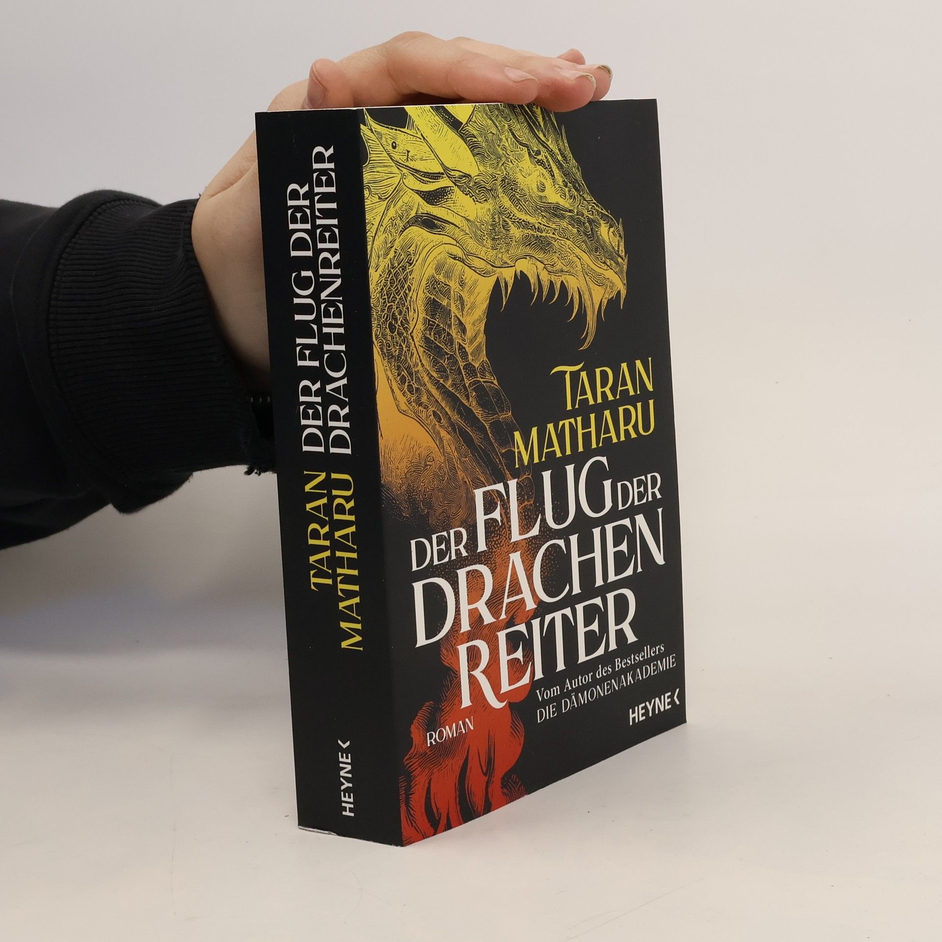 Der Flug der Drachenreiter. Roman