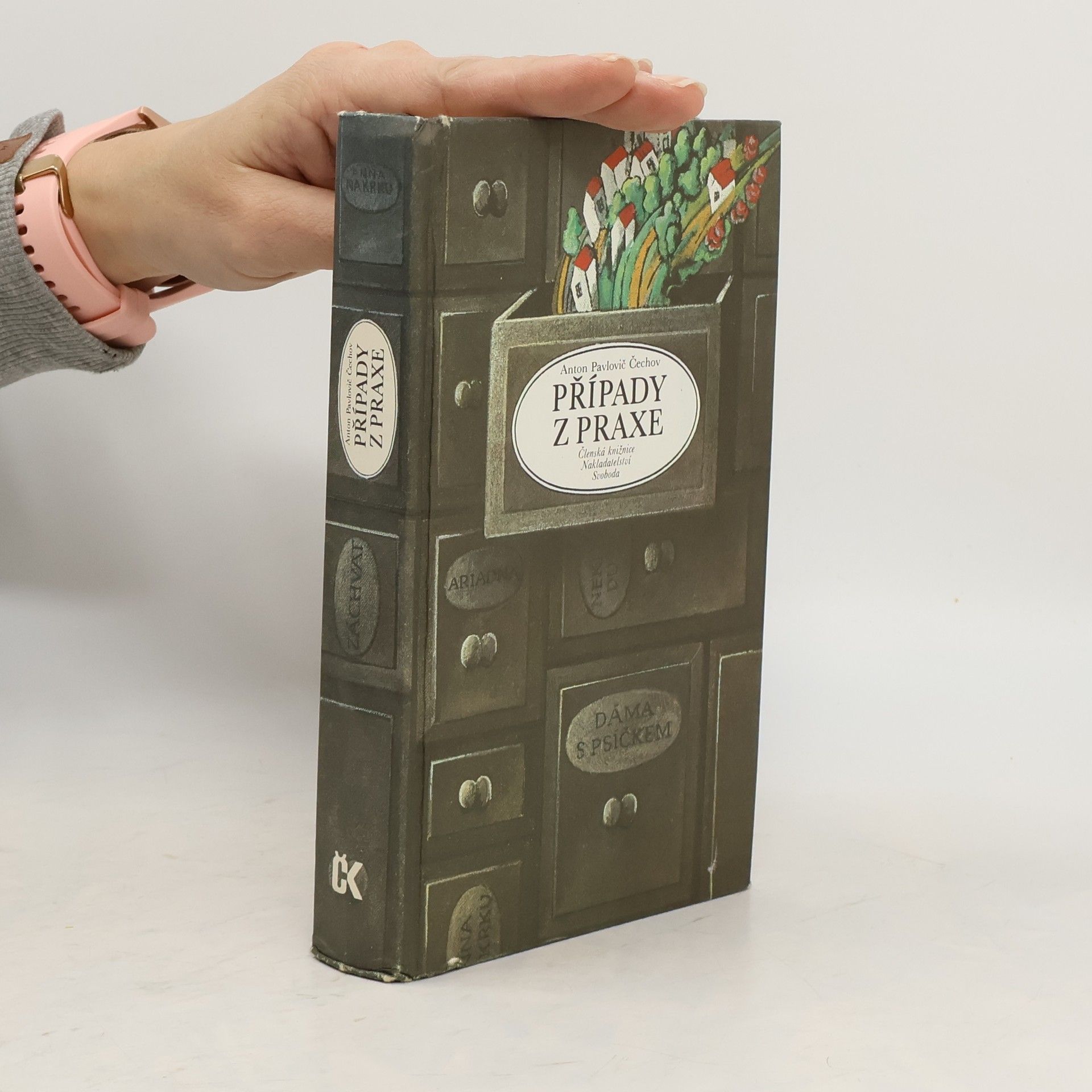 Anton Pawlowitsch Tschechow Případy z praxe