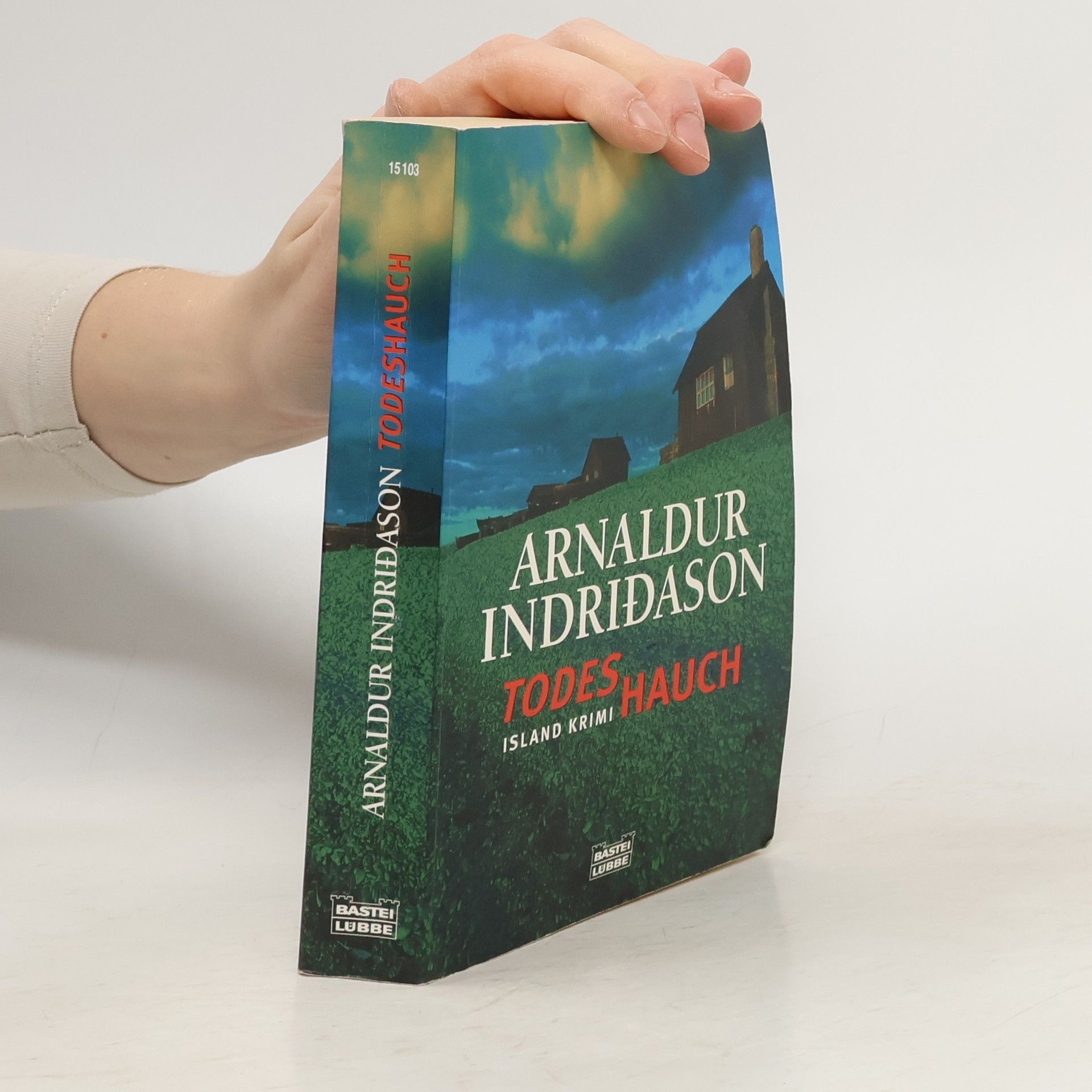 Arnaldur Indridason Todeshauch