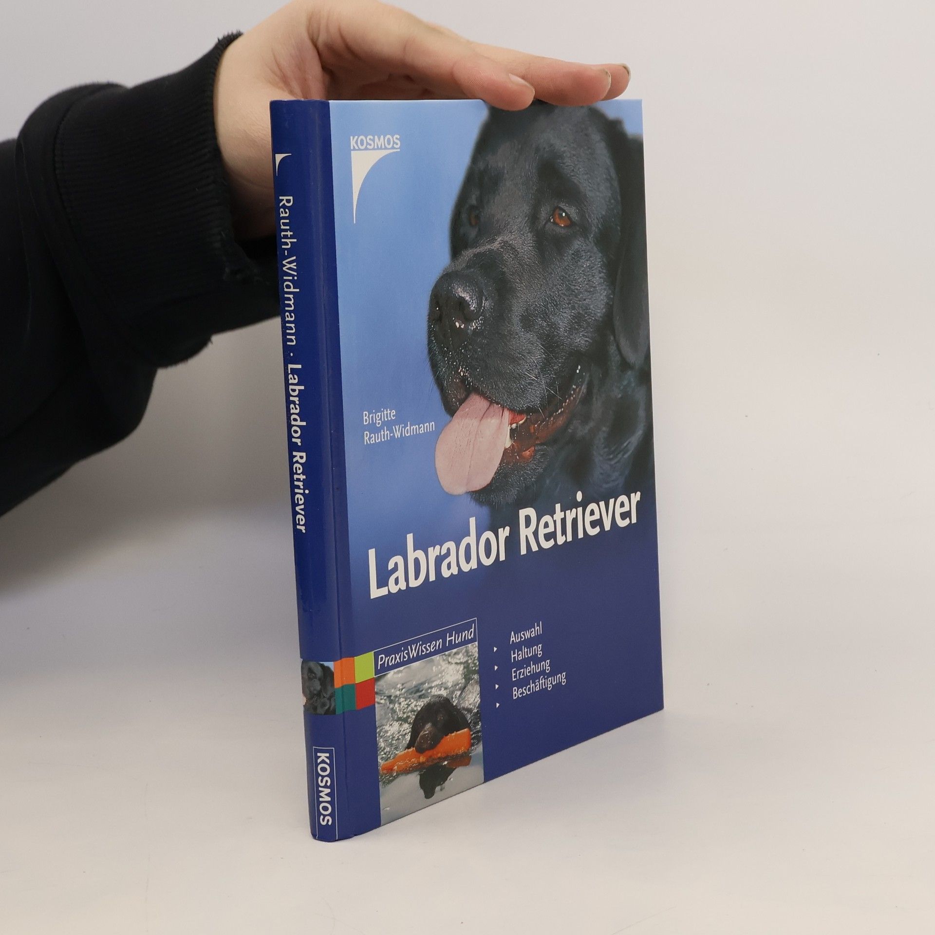 Labrador