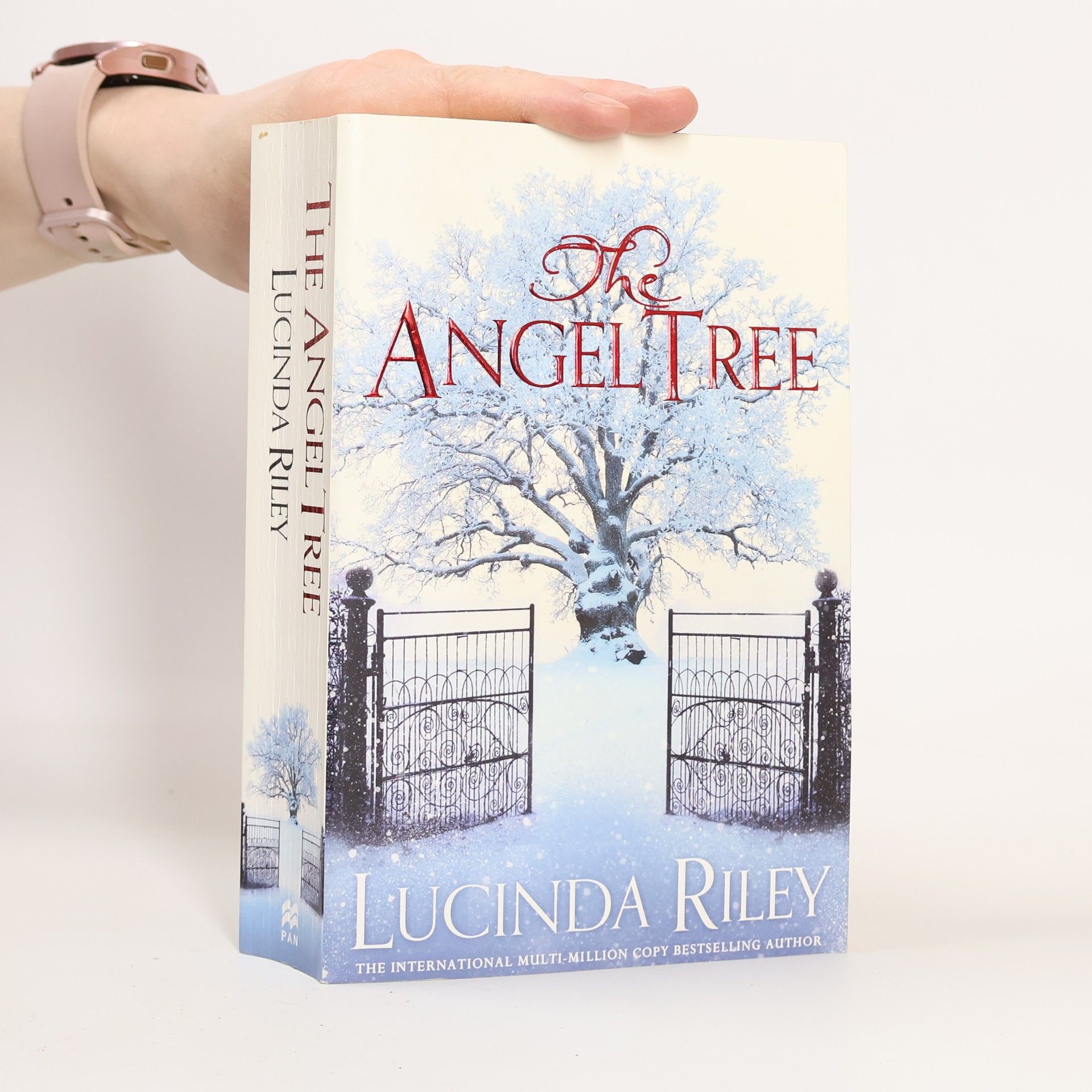 Lucinda Riley The Angel Tree