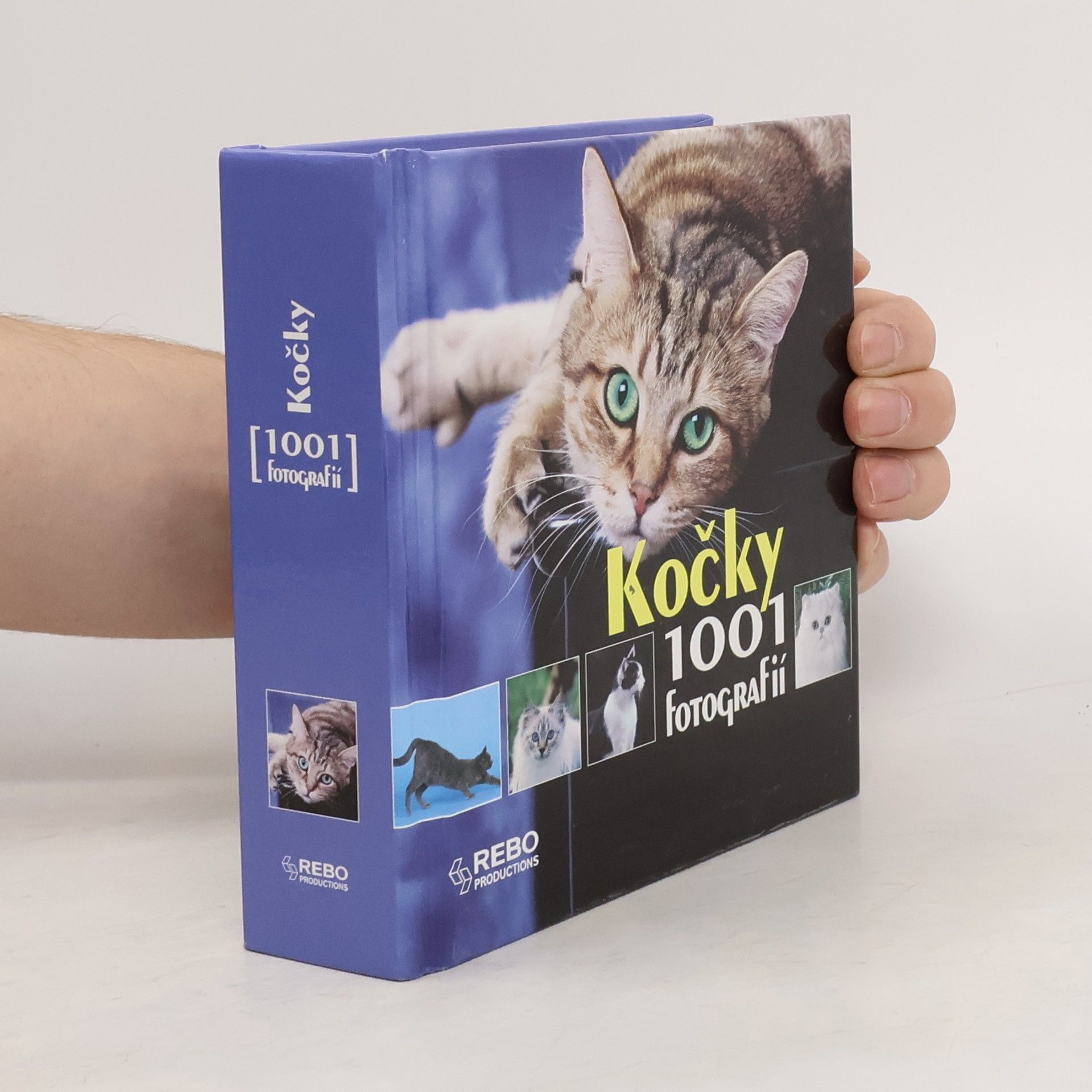 Yann Susic Kočky. 1001 fotografií