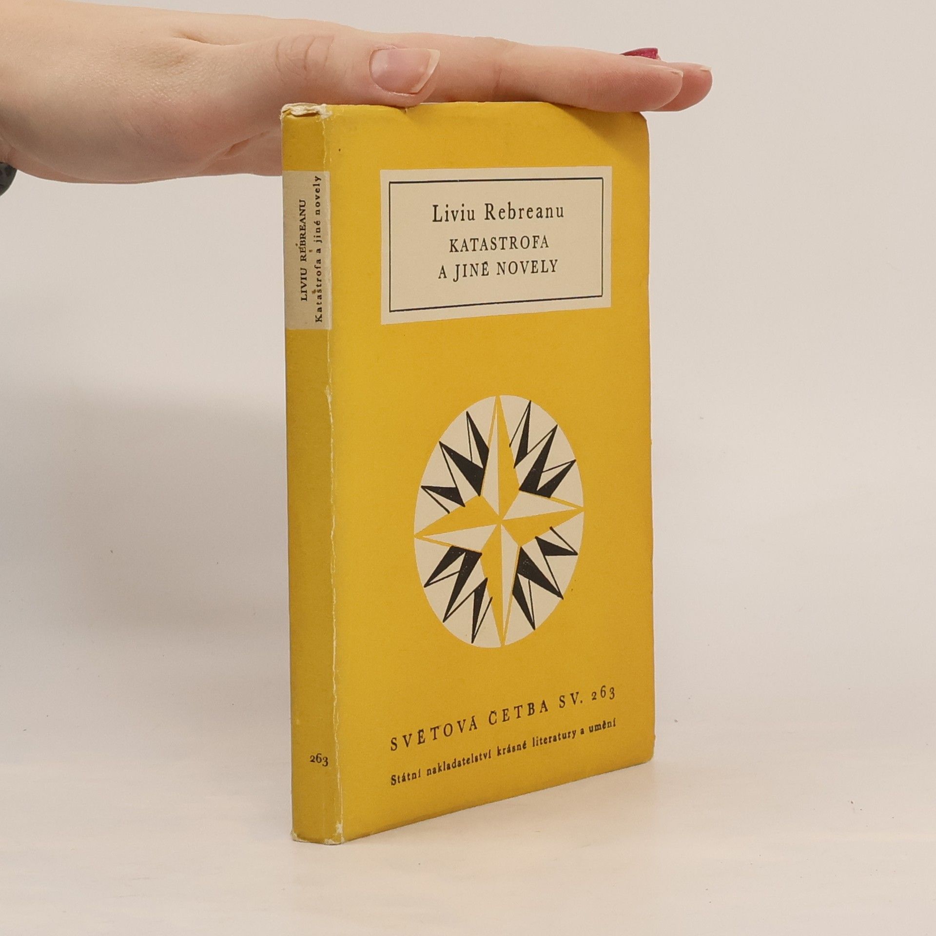 Katastrofa a jiné novely