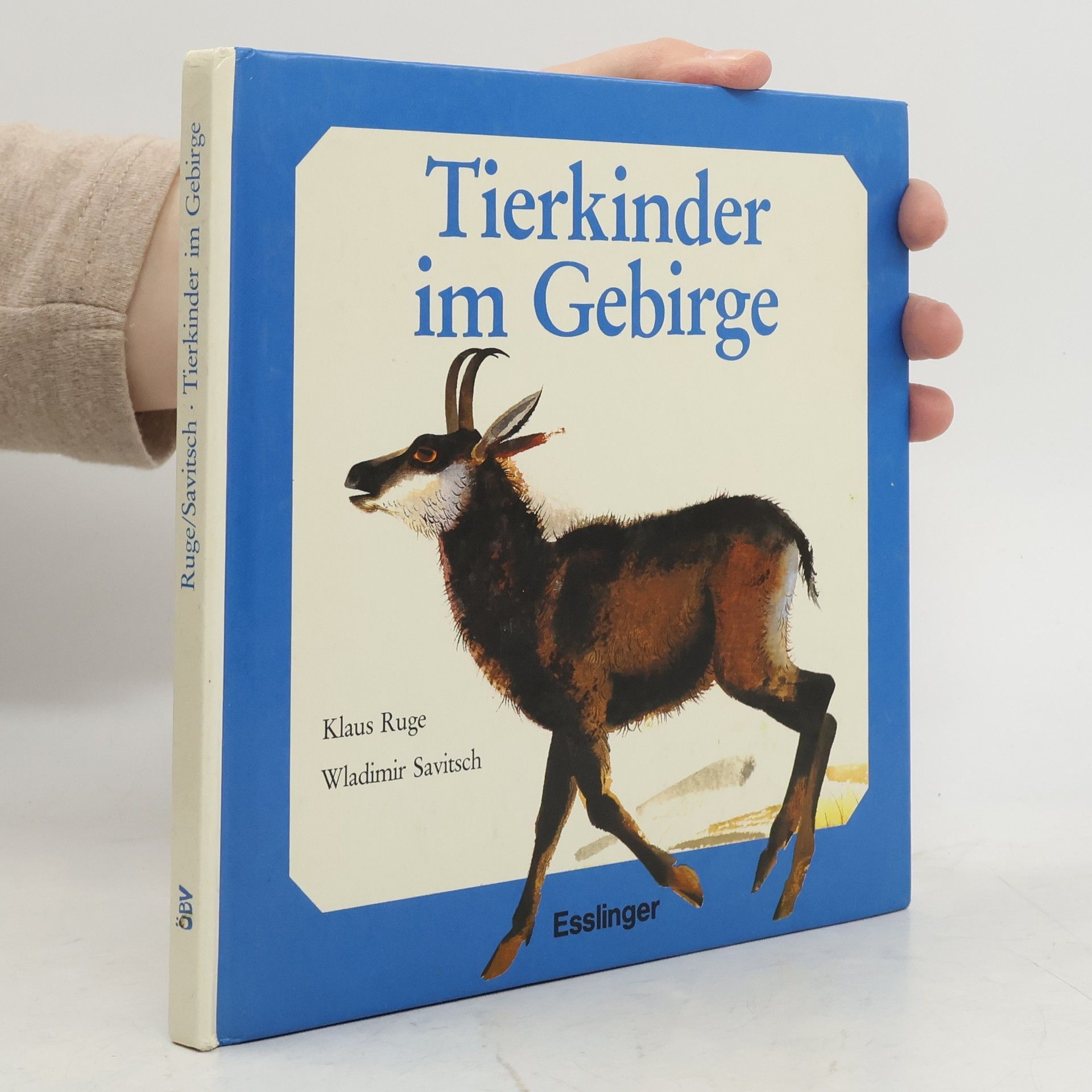 Klaus Ruge Tierkinder im Gebirge