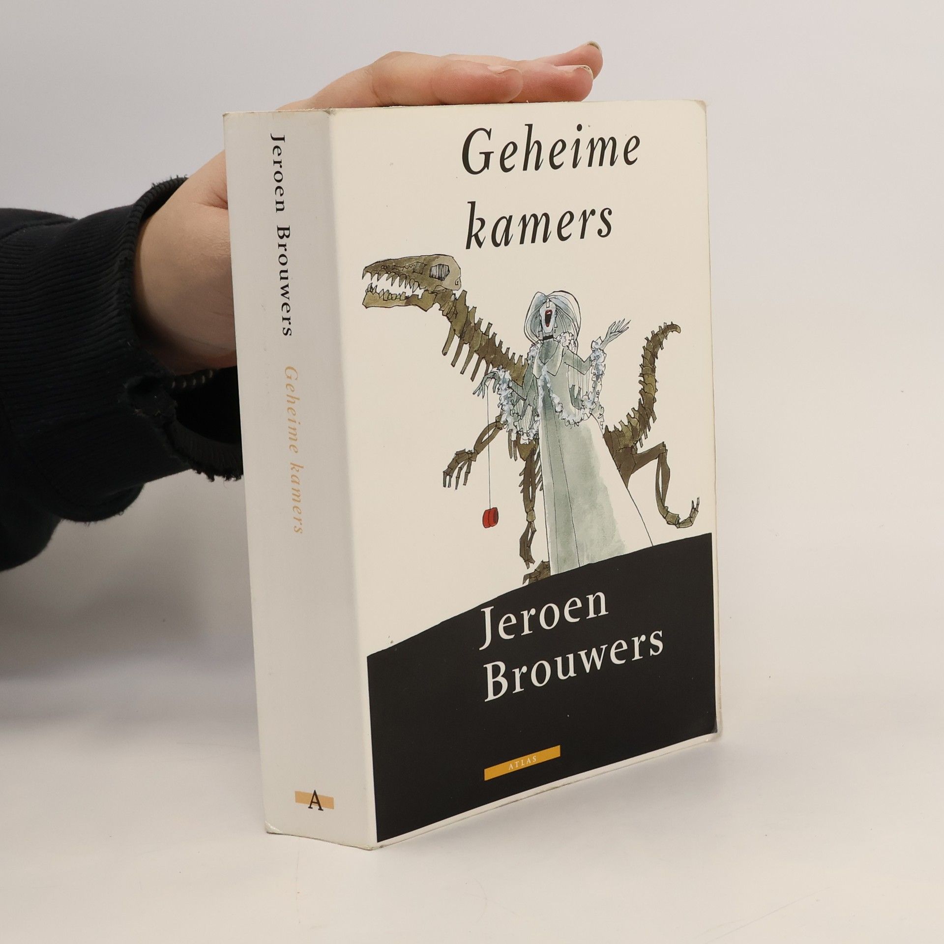 Jeroen Brouwers Geheime kamers