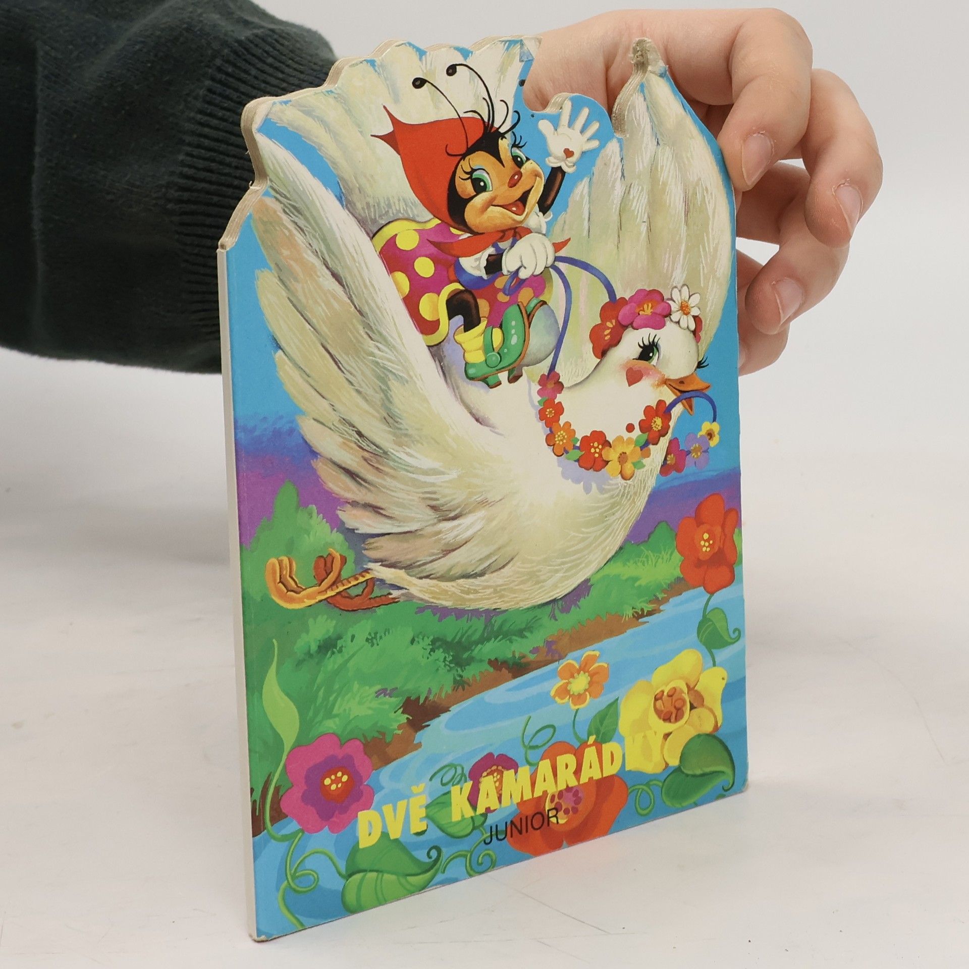 Autorenkollektiv Dvě kamarádky