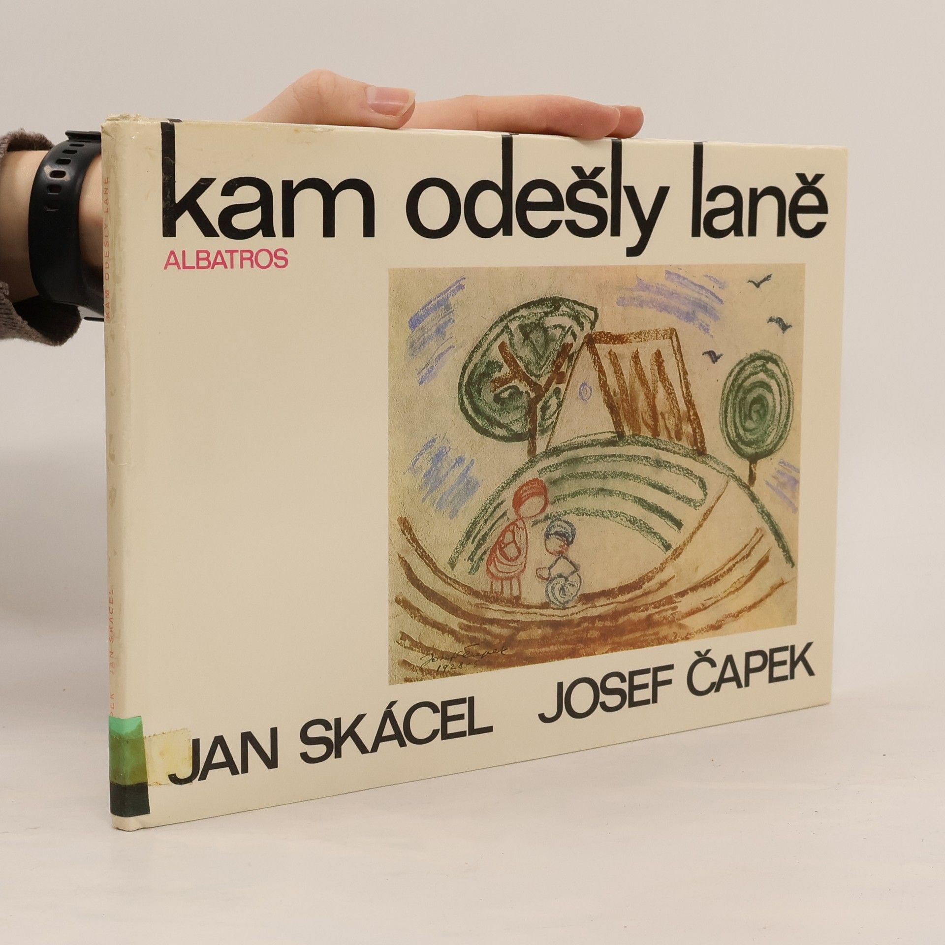 Kam odešly laně