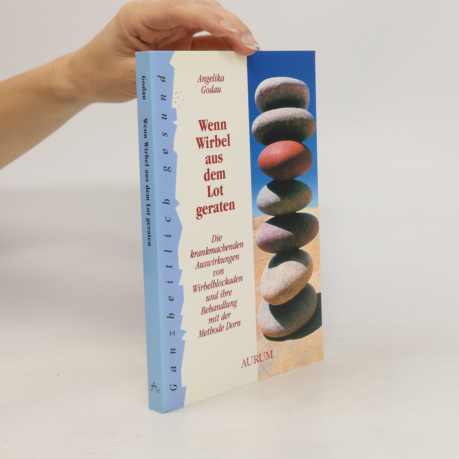 Angelika Godau Wenn Wirbel aus dem Lot geraten