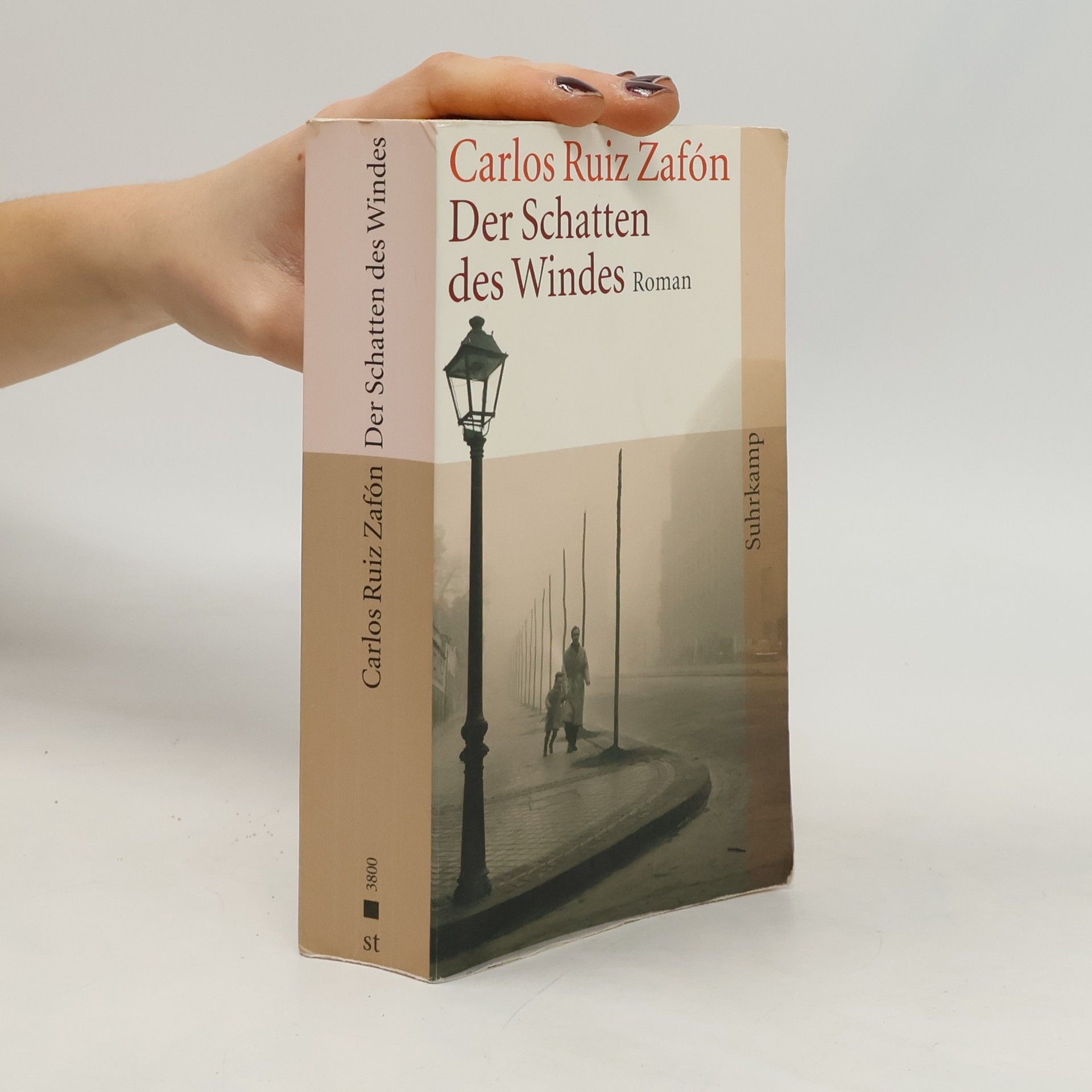 Carlos Ruiz Zafón Der Schatten des Windes