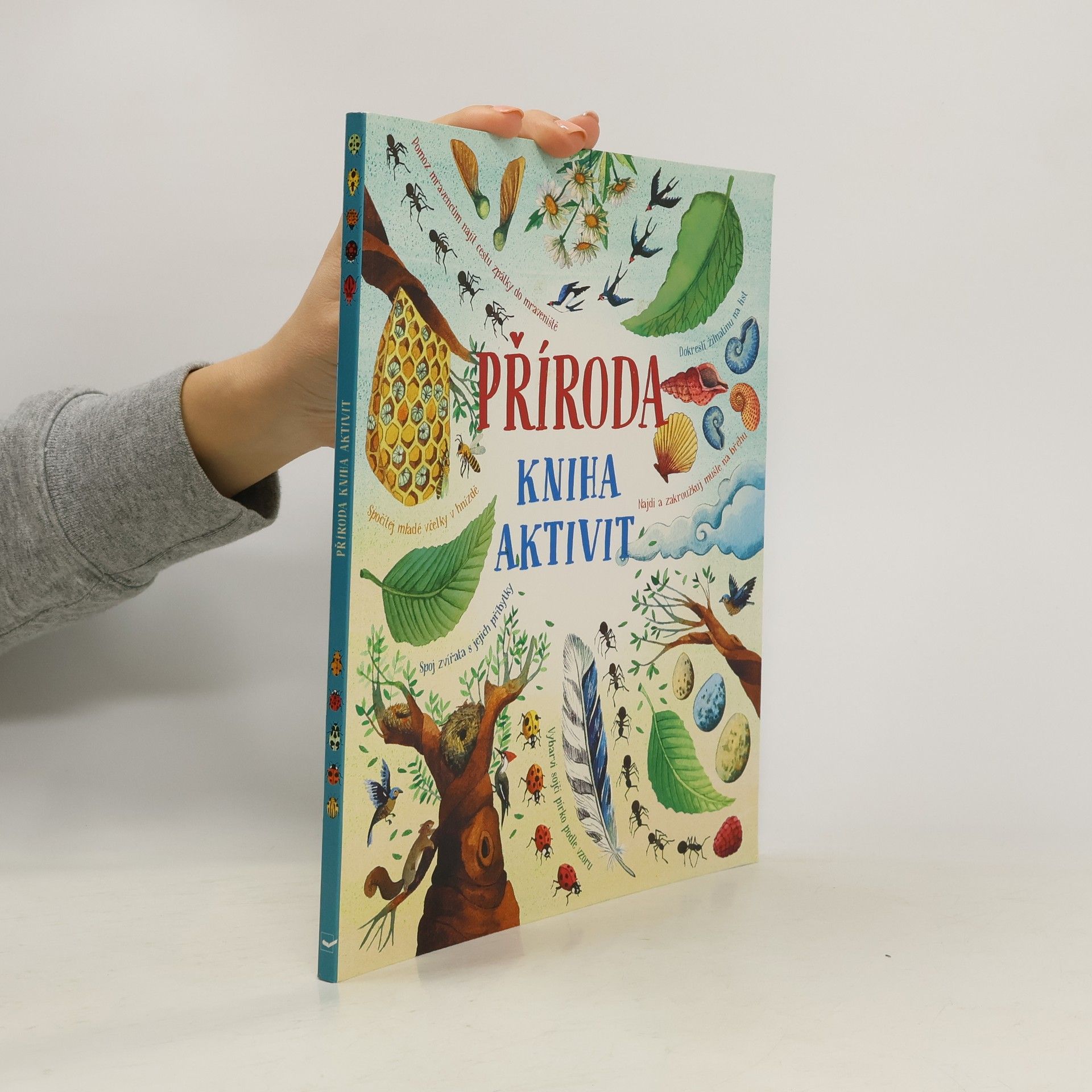 Collectif d'auteurs Příroda: kniha aktivit