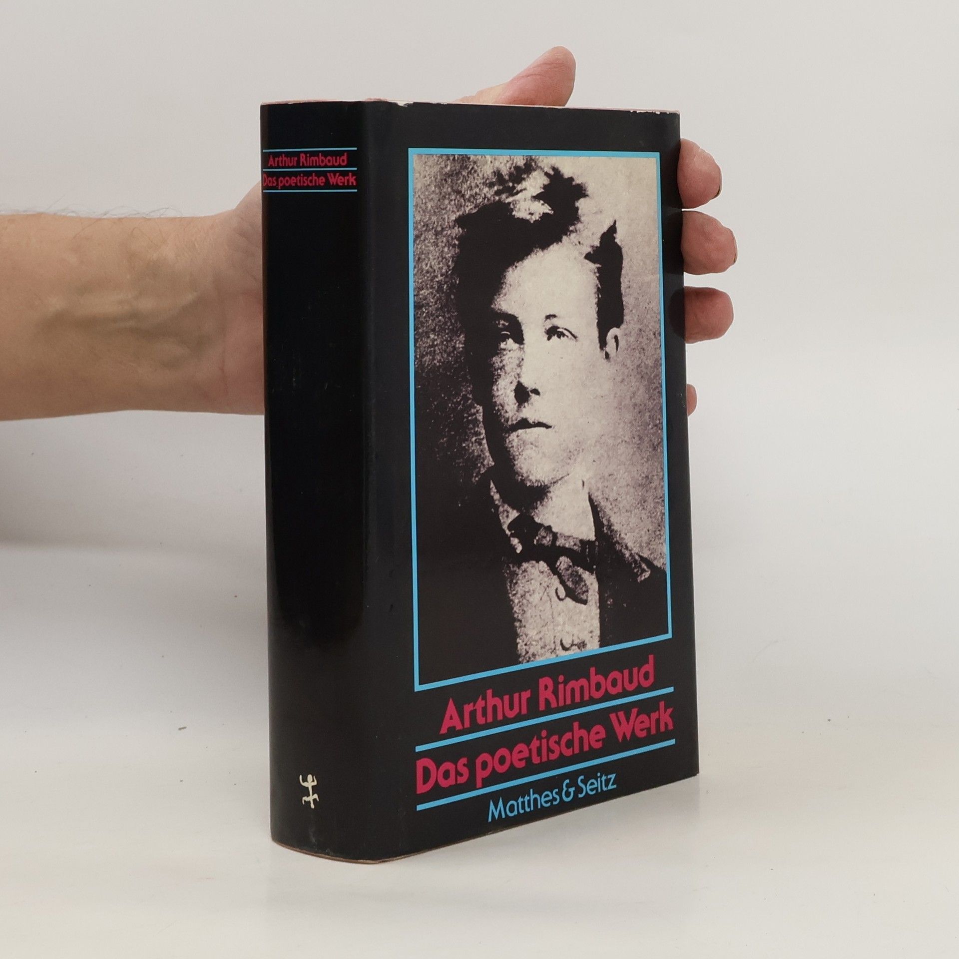 Arthur Rimbaud Das poetische Werk