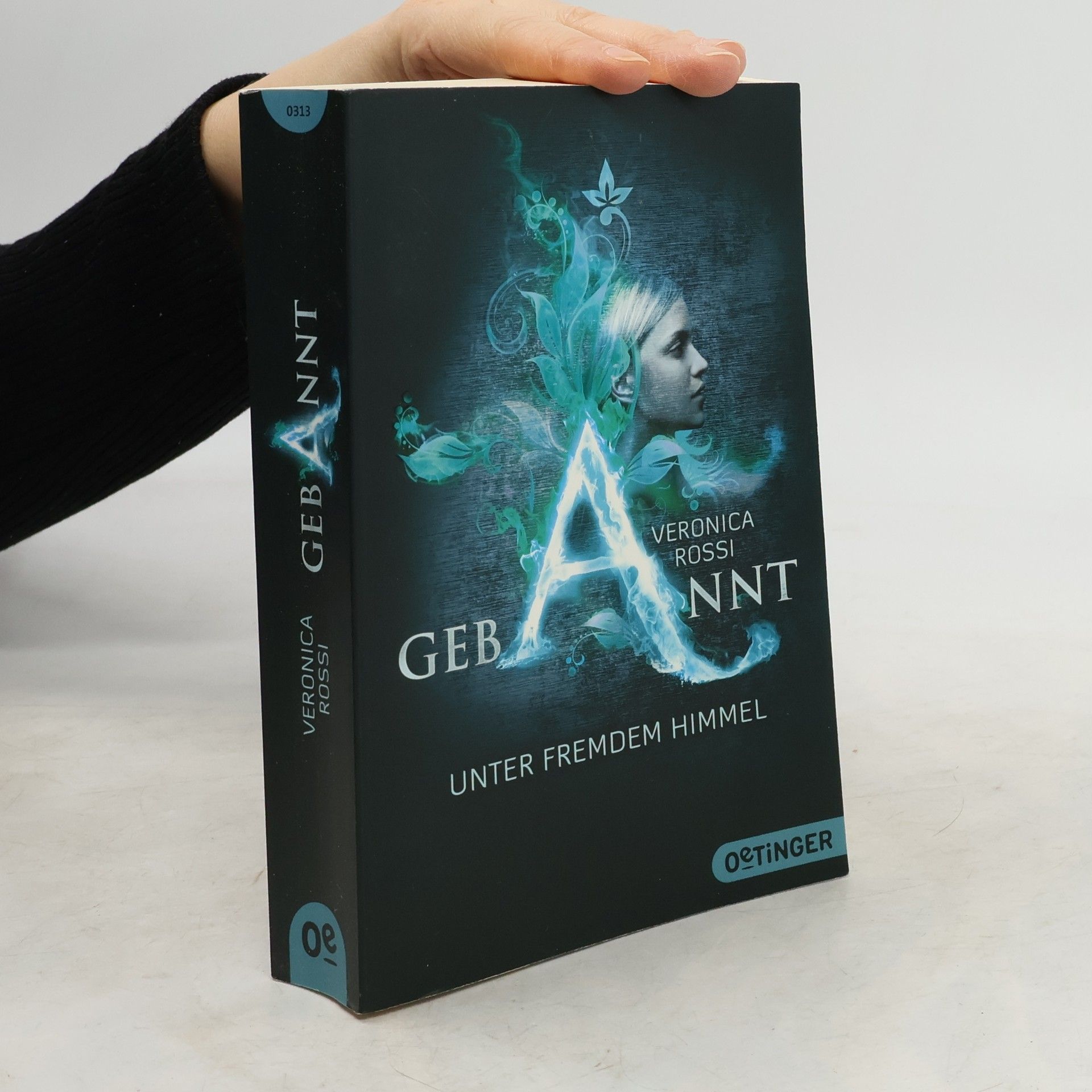 Gebannt - unter fremdem Himmel