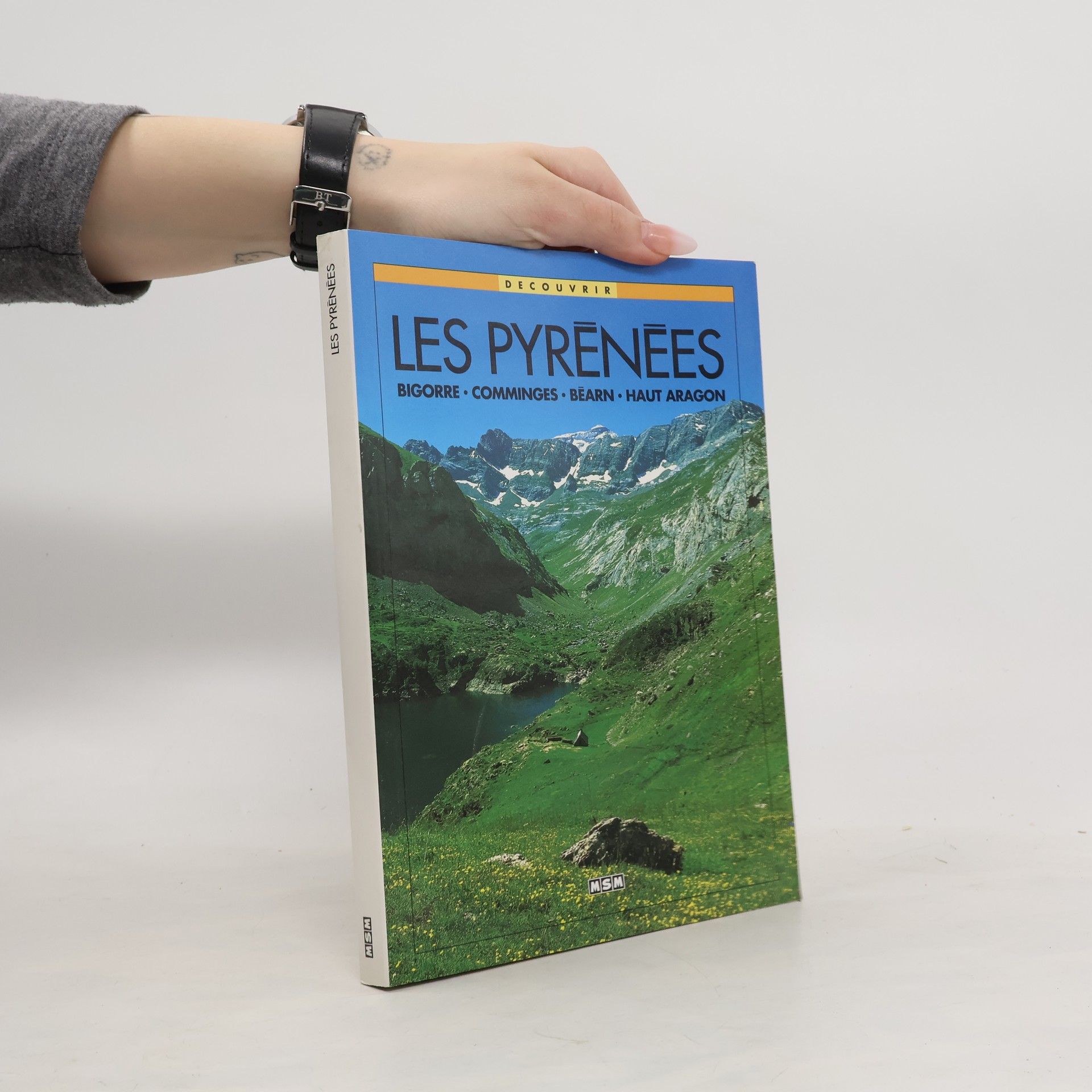 Autorenkollektiv Decouvrir les Pyrénées