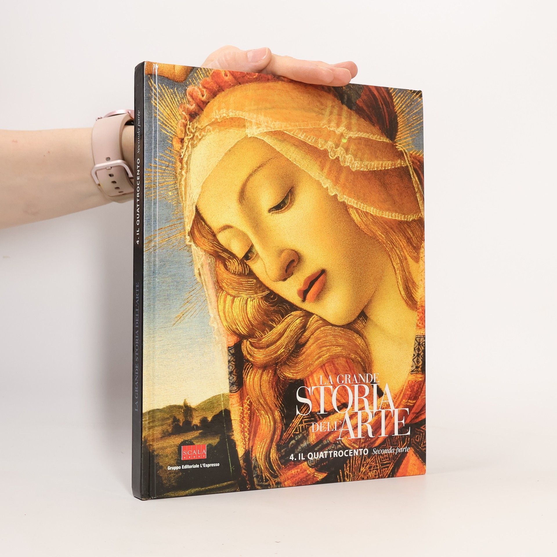 Auteurscollectief La grande storia dell arte