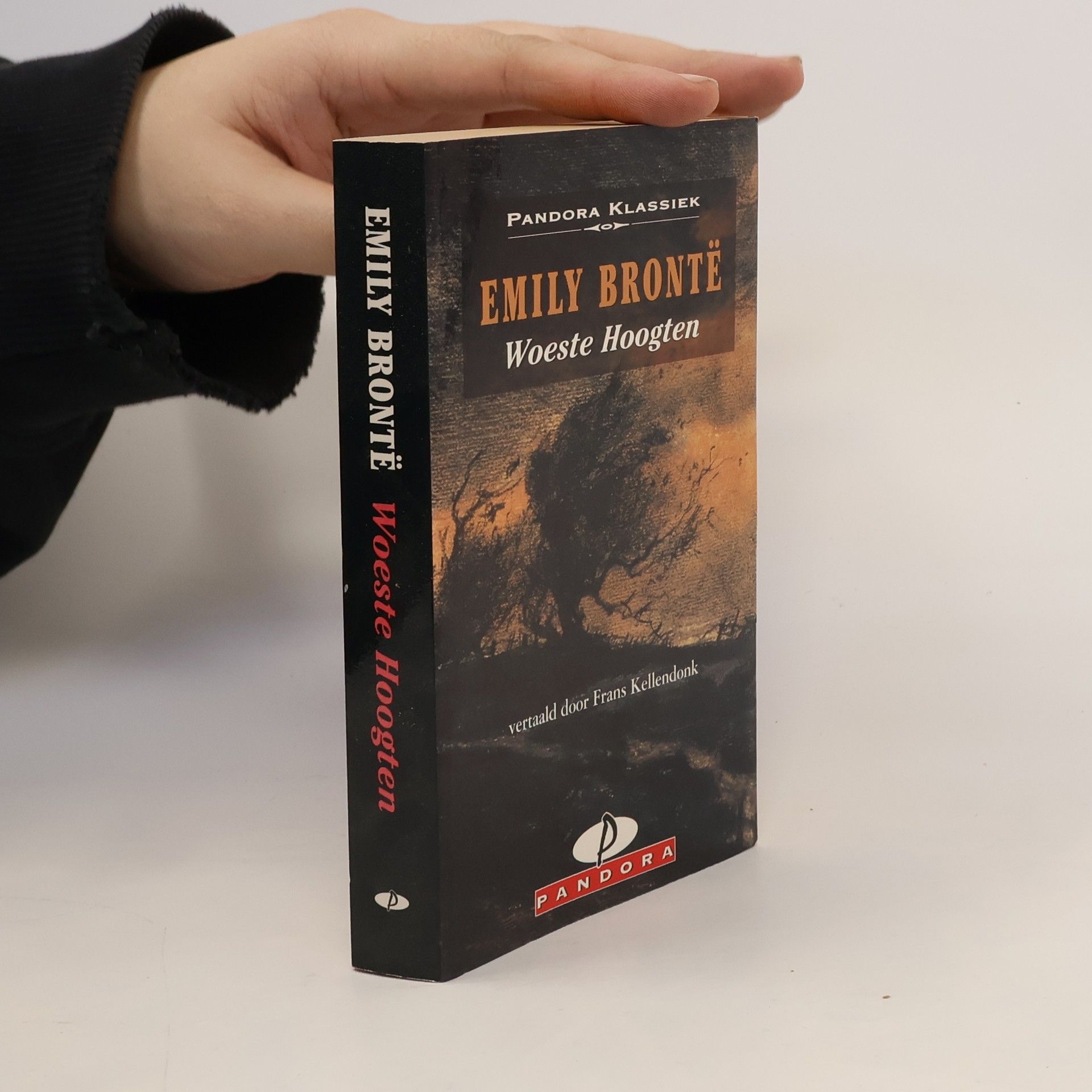 Emily Brontë Pandora Klassiek: De Woeste Hoogten
