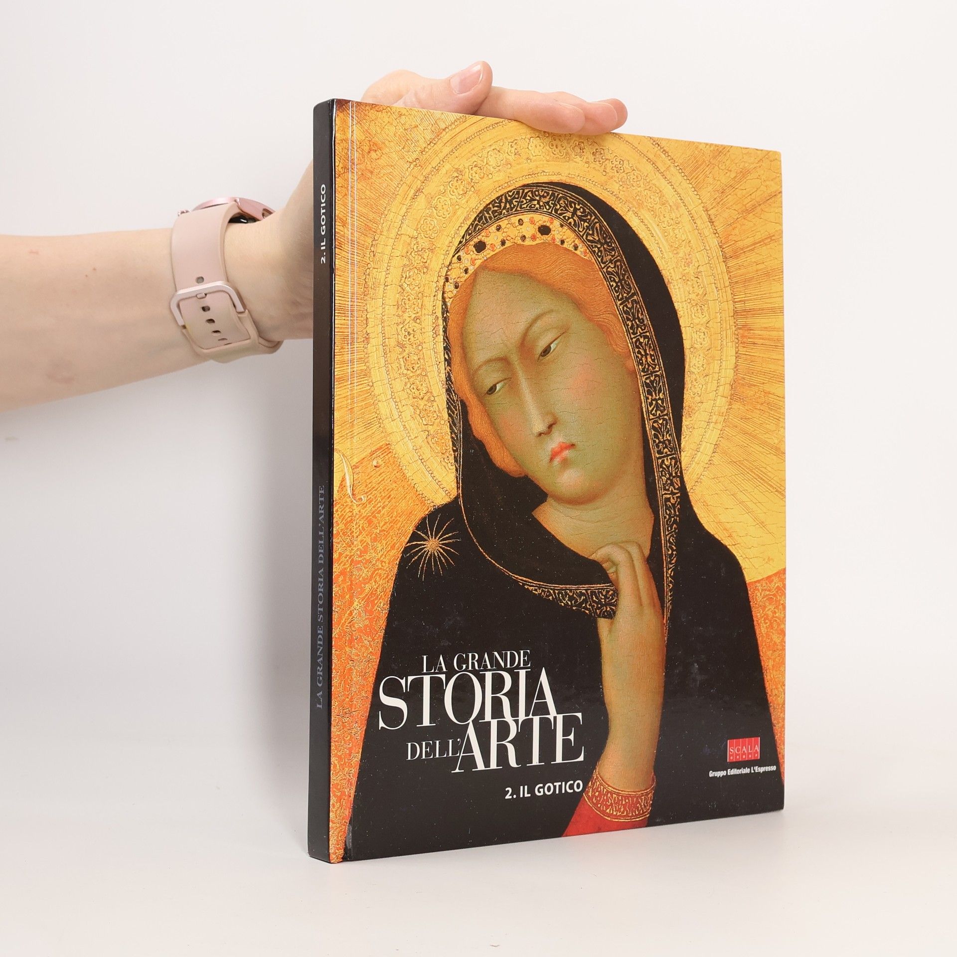 Auteurscollectief La grande storia dell'arte 2. Il gotico