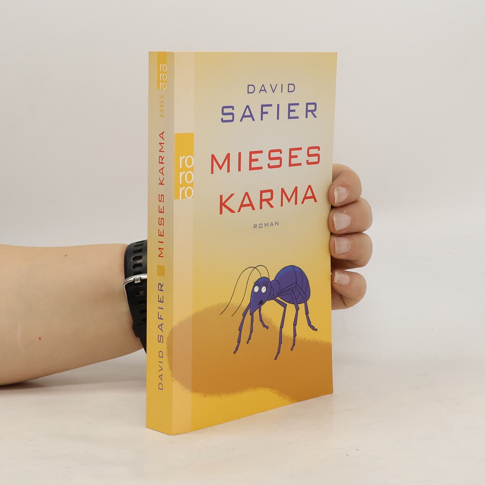 David Safier Mieses Karma