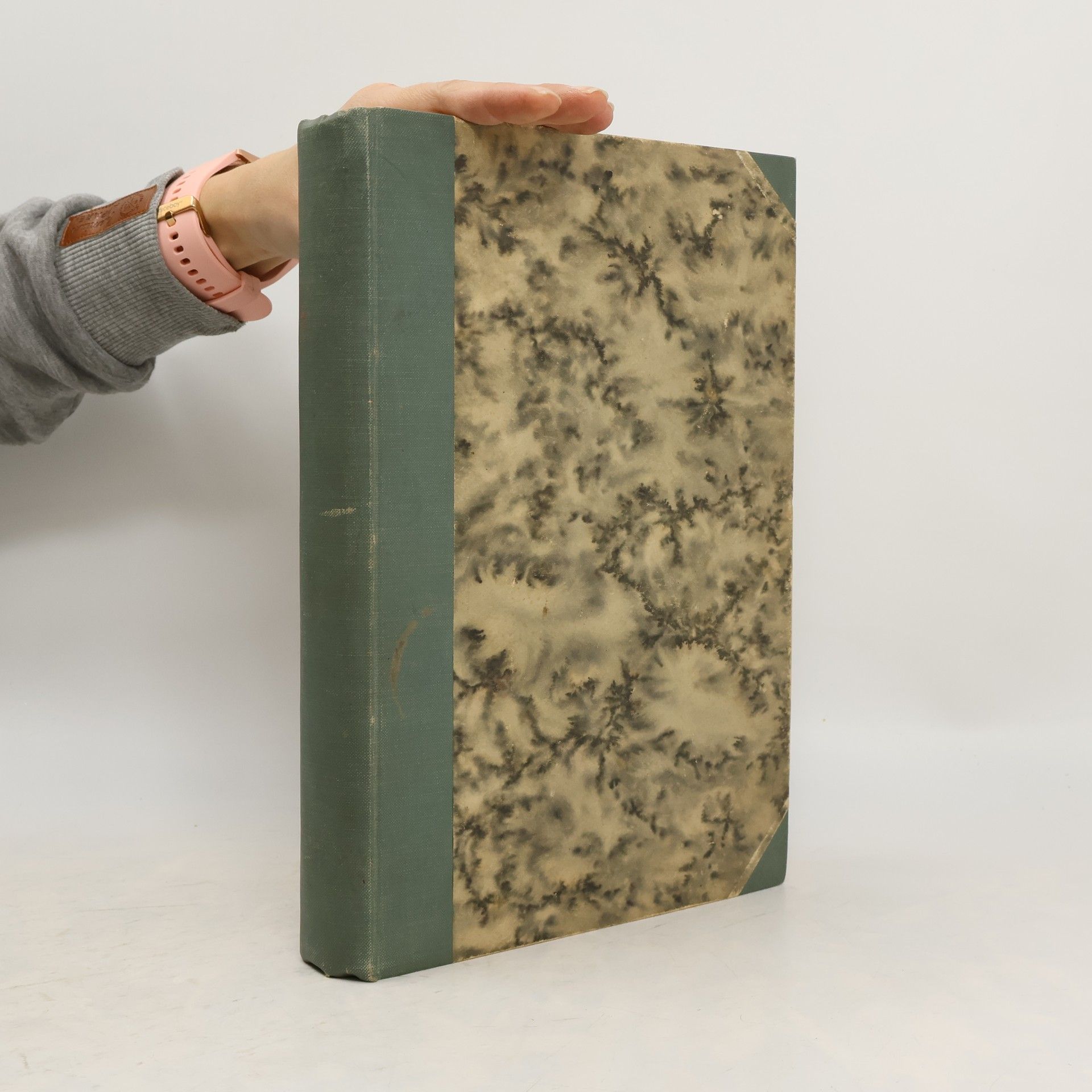 Various authors Světová válka 1914-1917 slovem i obrazem IV.