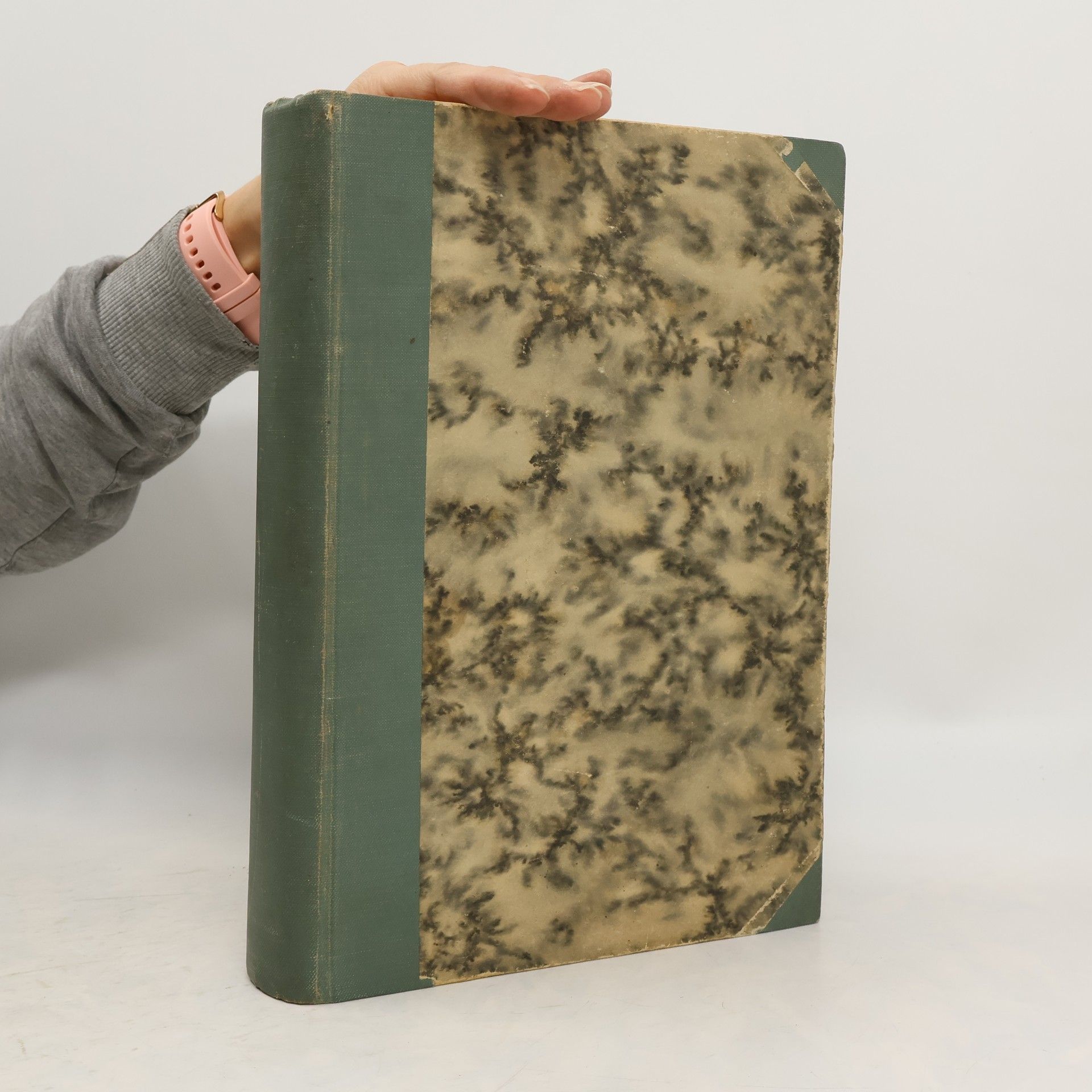 Various authors Světová válka 1914-1915 slovem i obrazem I.