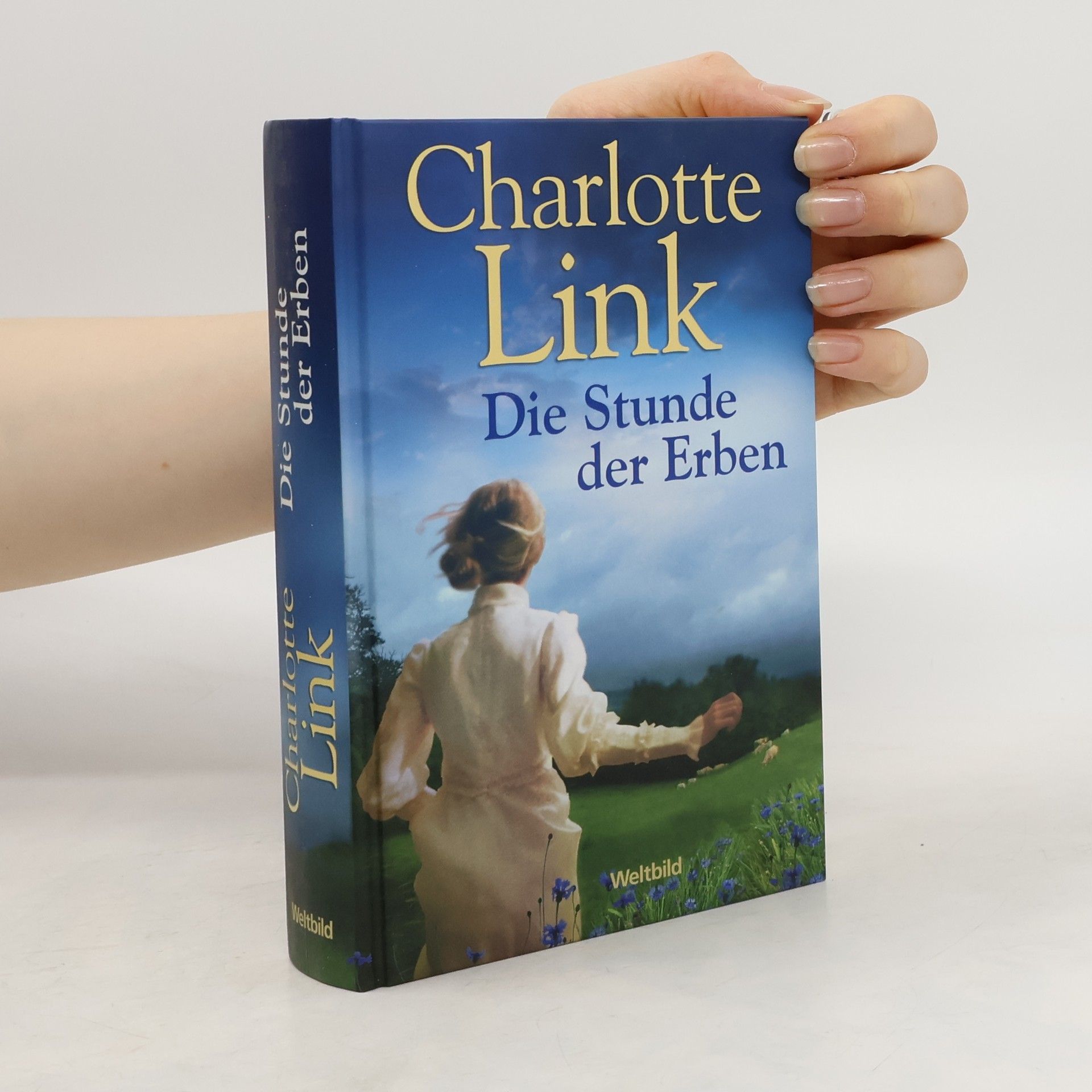 Charlotte Link Sturmzeit