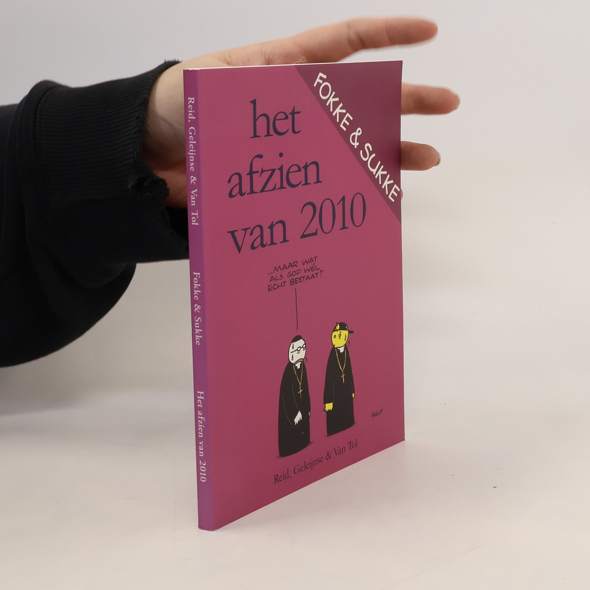 Stuart Johnson Reid Fokke & Sukke: Het afzien van 2010