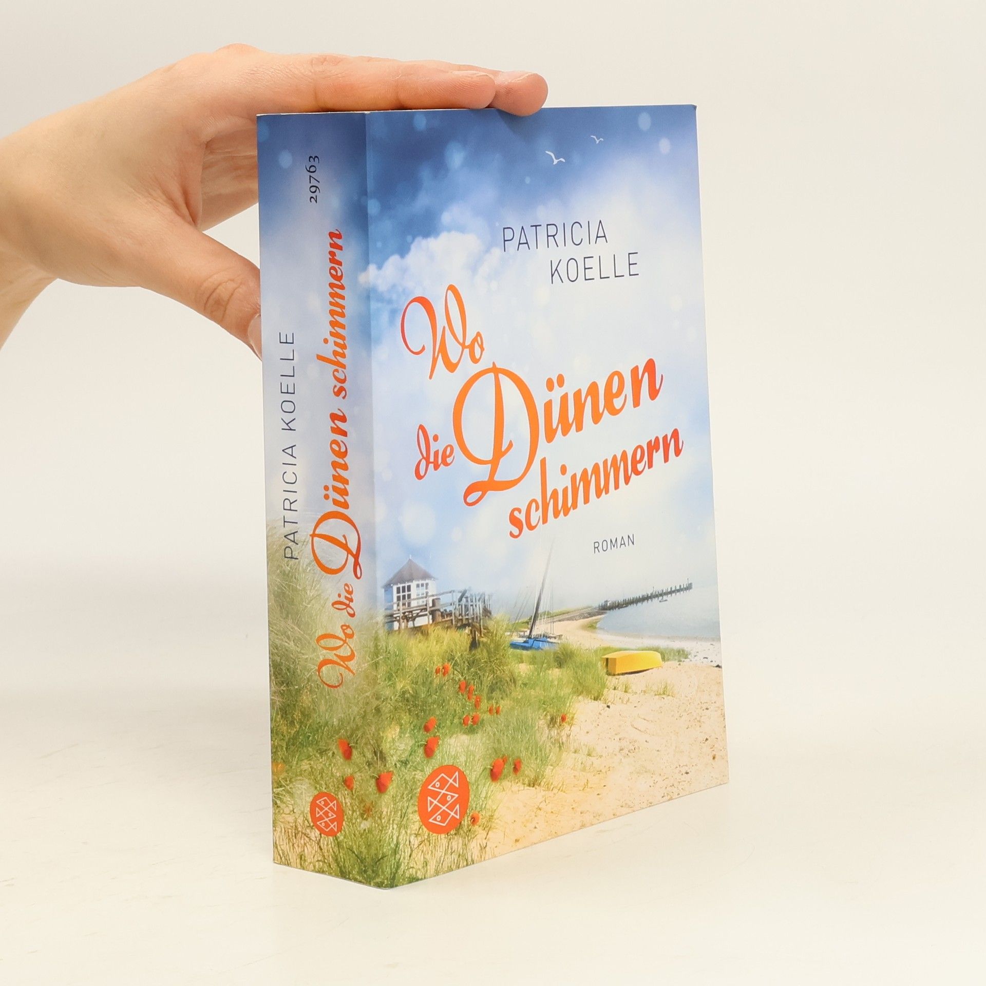 Patricia Koelle Wo die Dünen schimmern