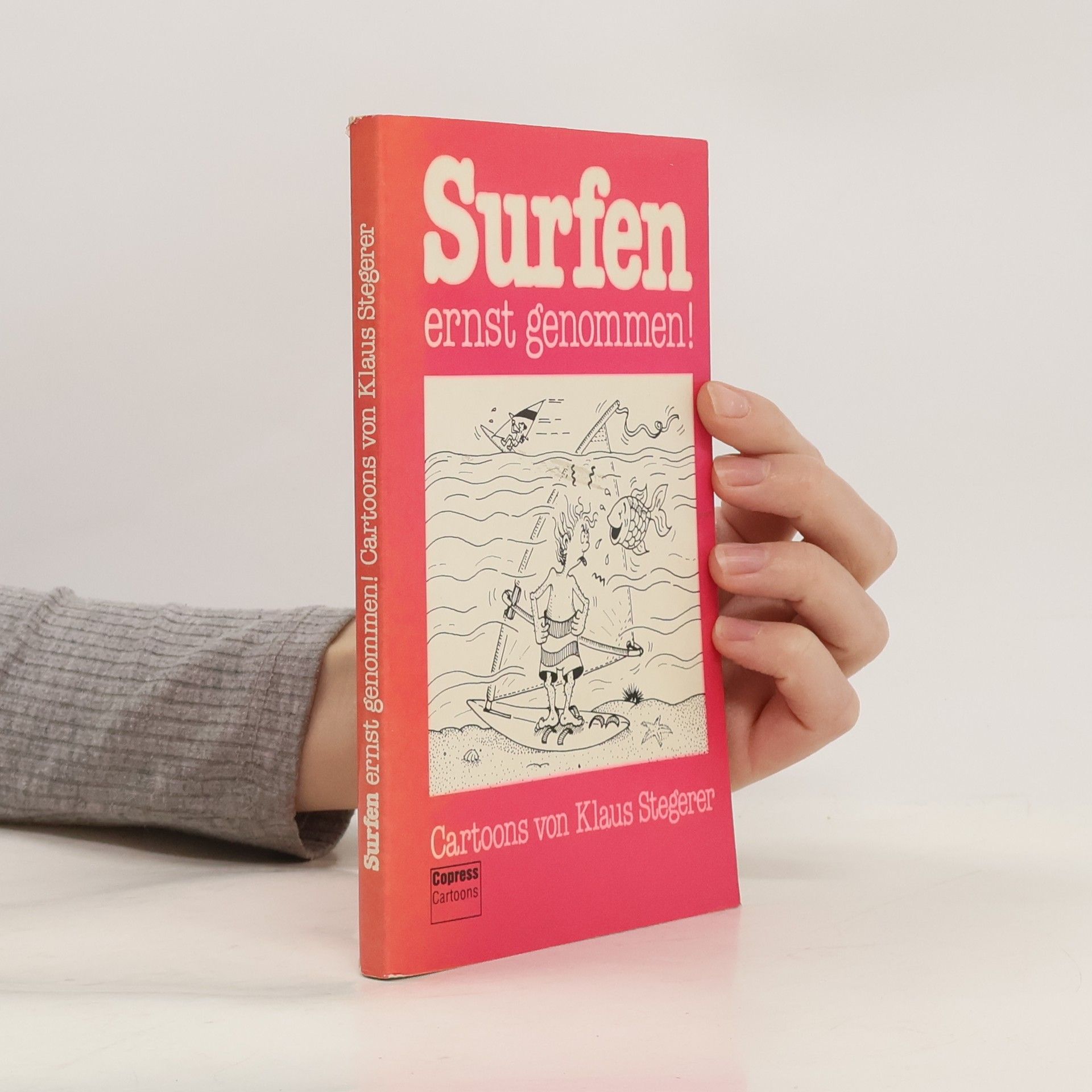 Klaus Stegerer Surfen ernst genommen!