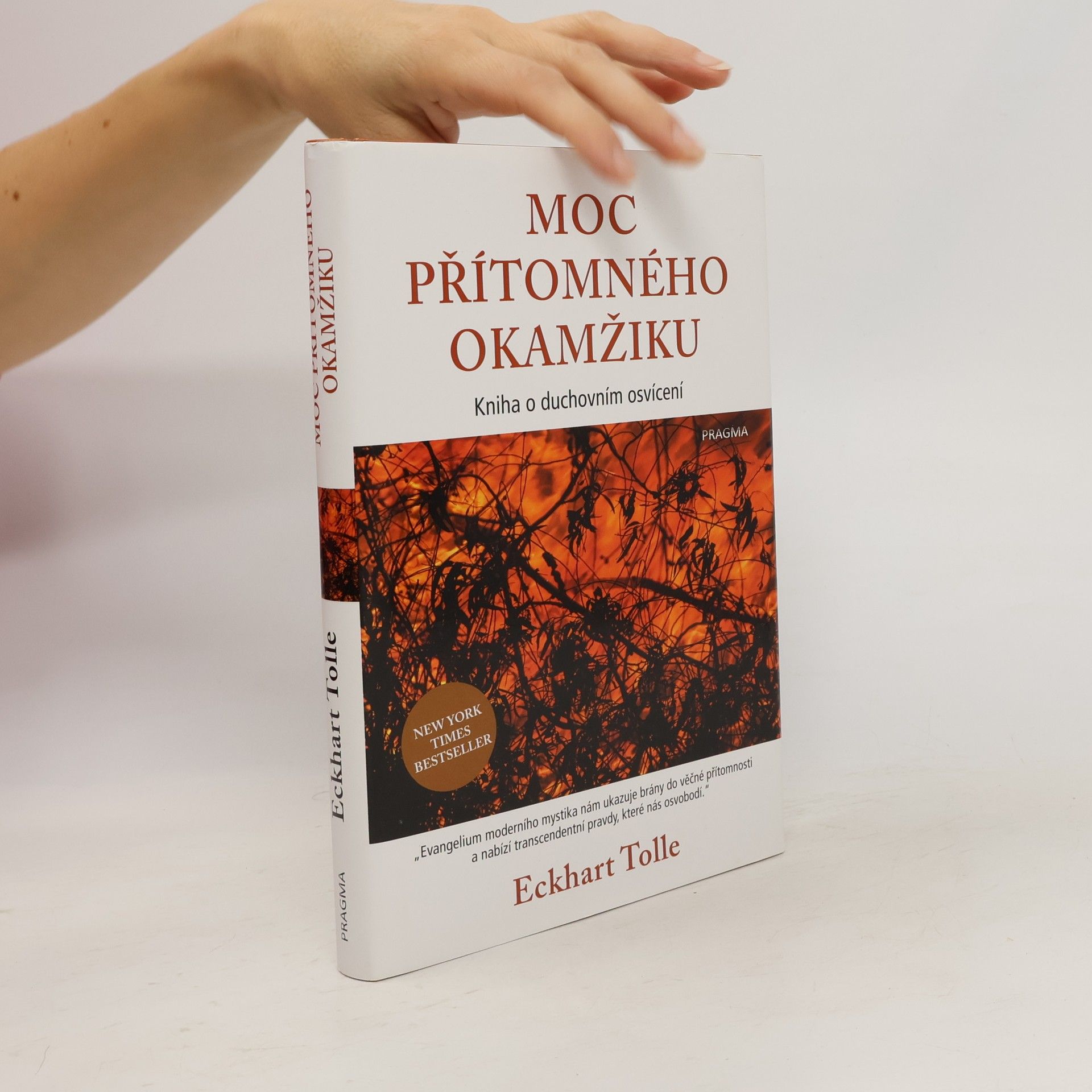 Eckhart Tolle Moc přítomného okamžiku